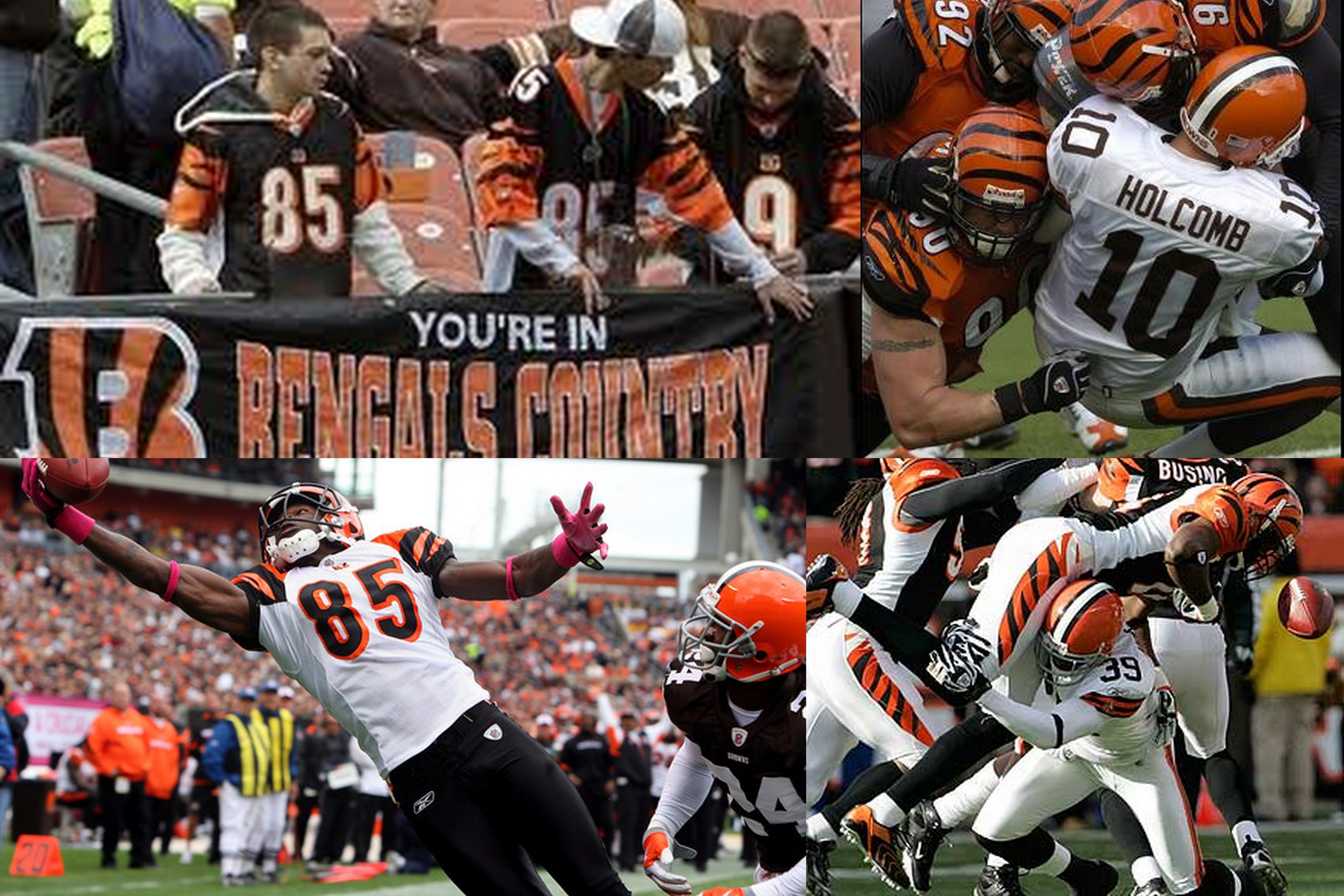 Bengals Browns 2010