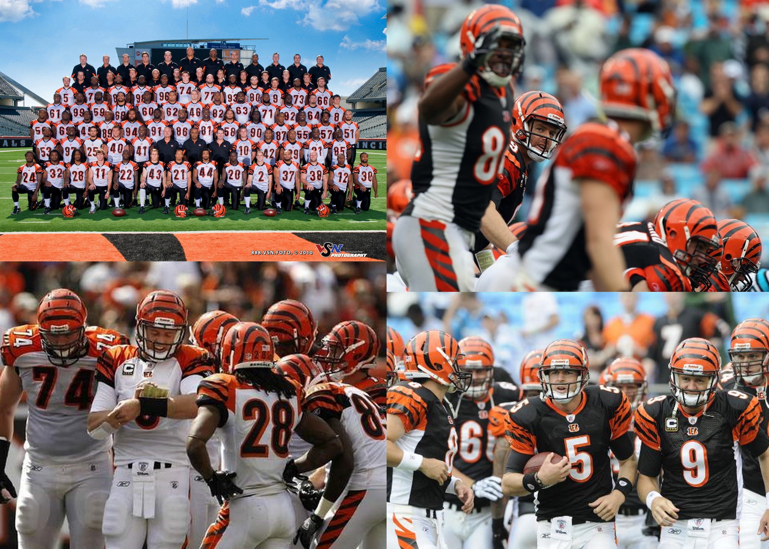 There is no 'I' in team Bengals 2010