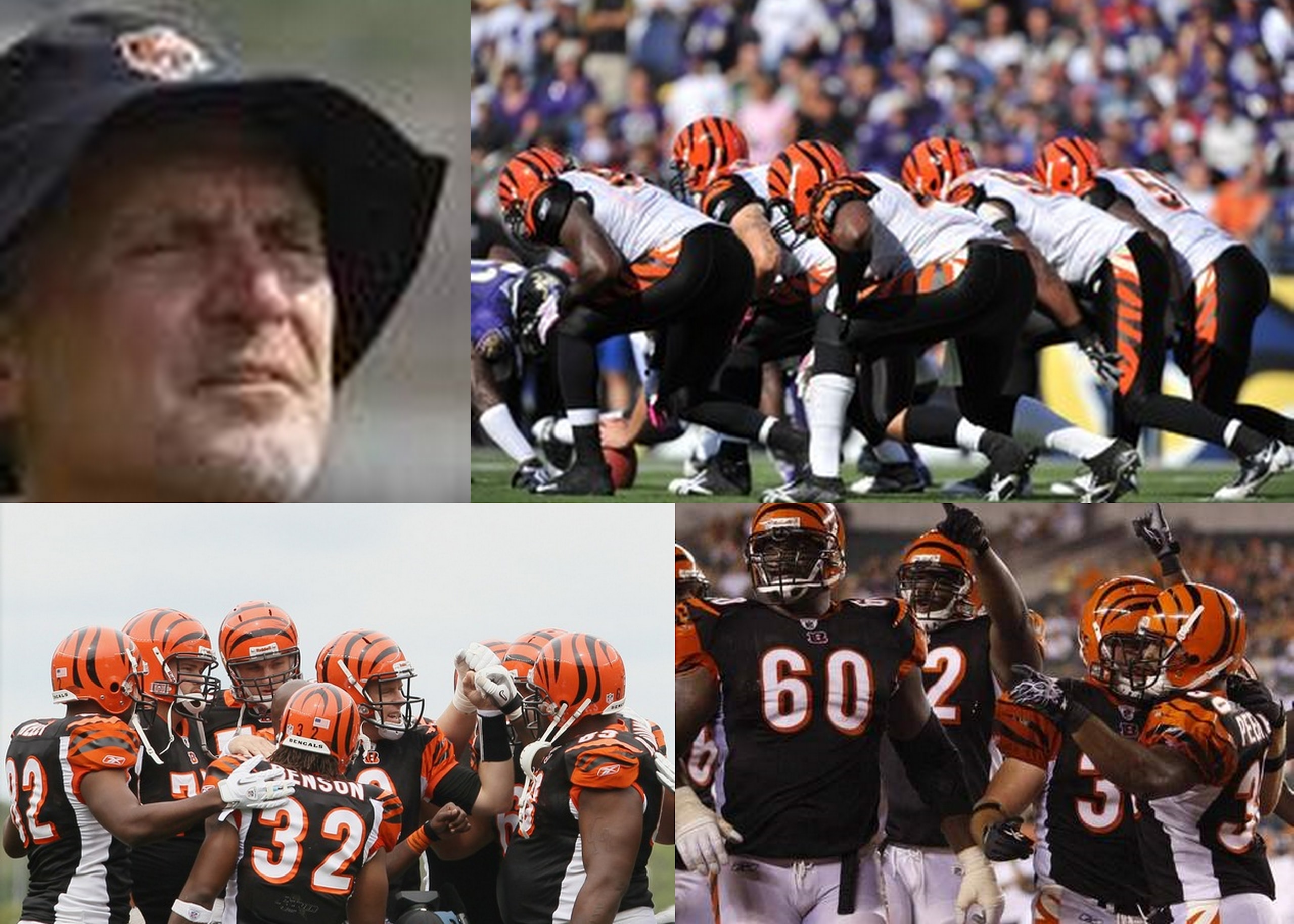 Bengals Offensive Offense