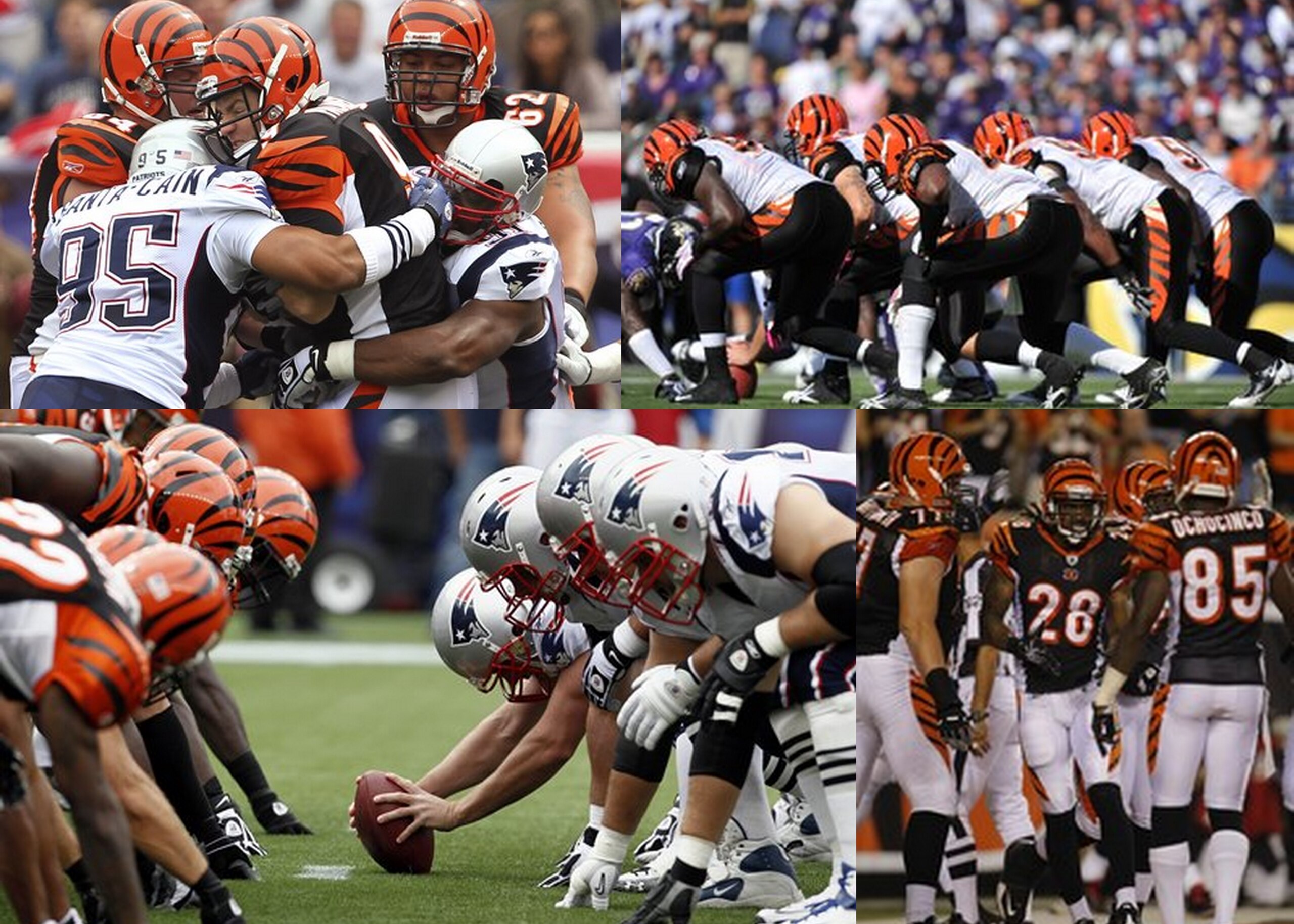 Bengals Offensive Line