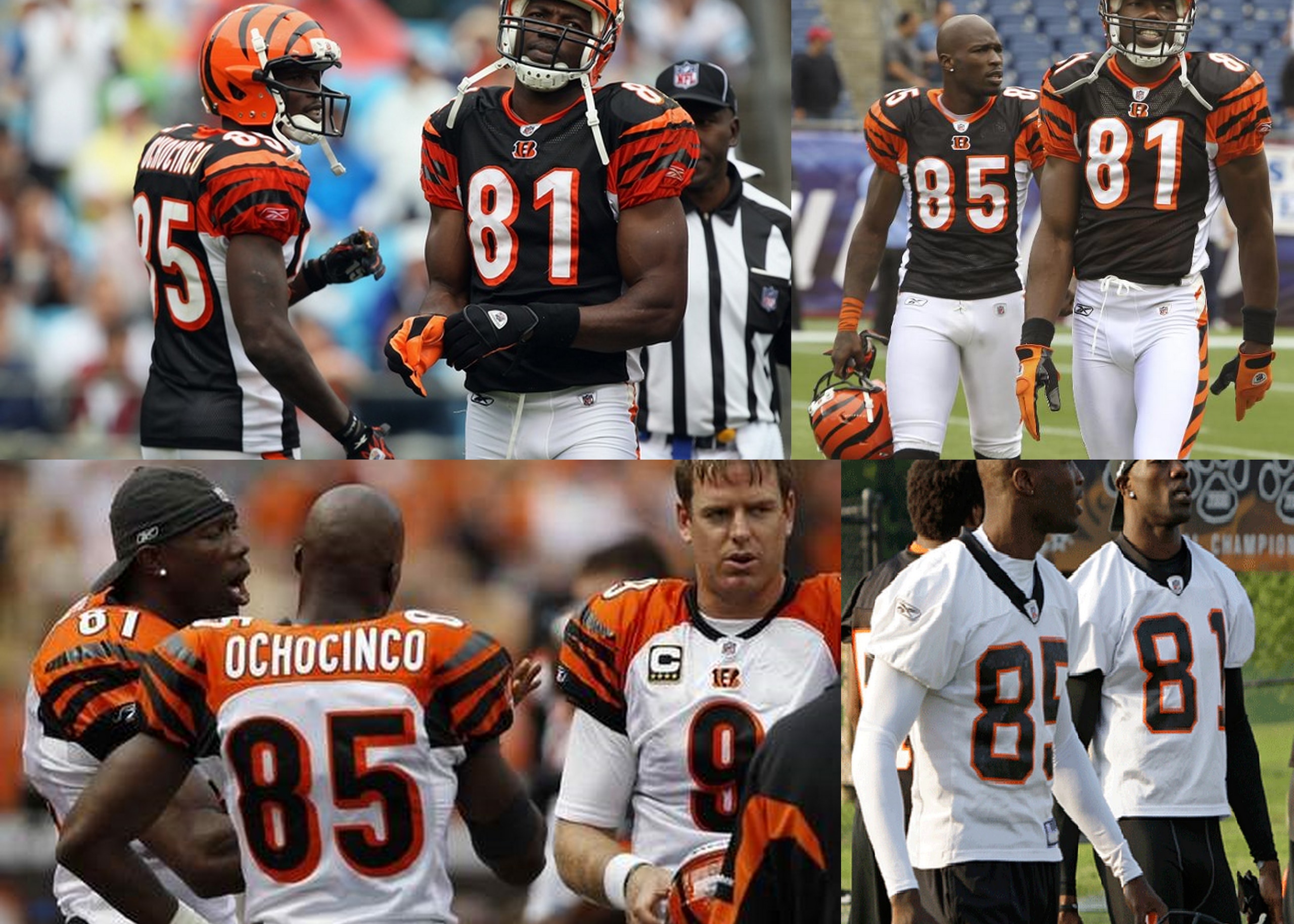 TO and Ocho