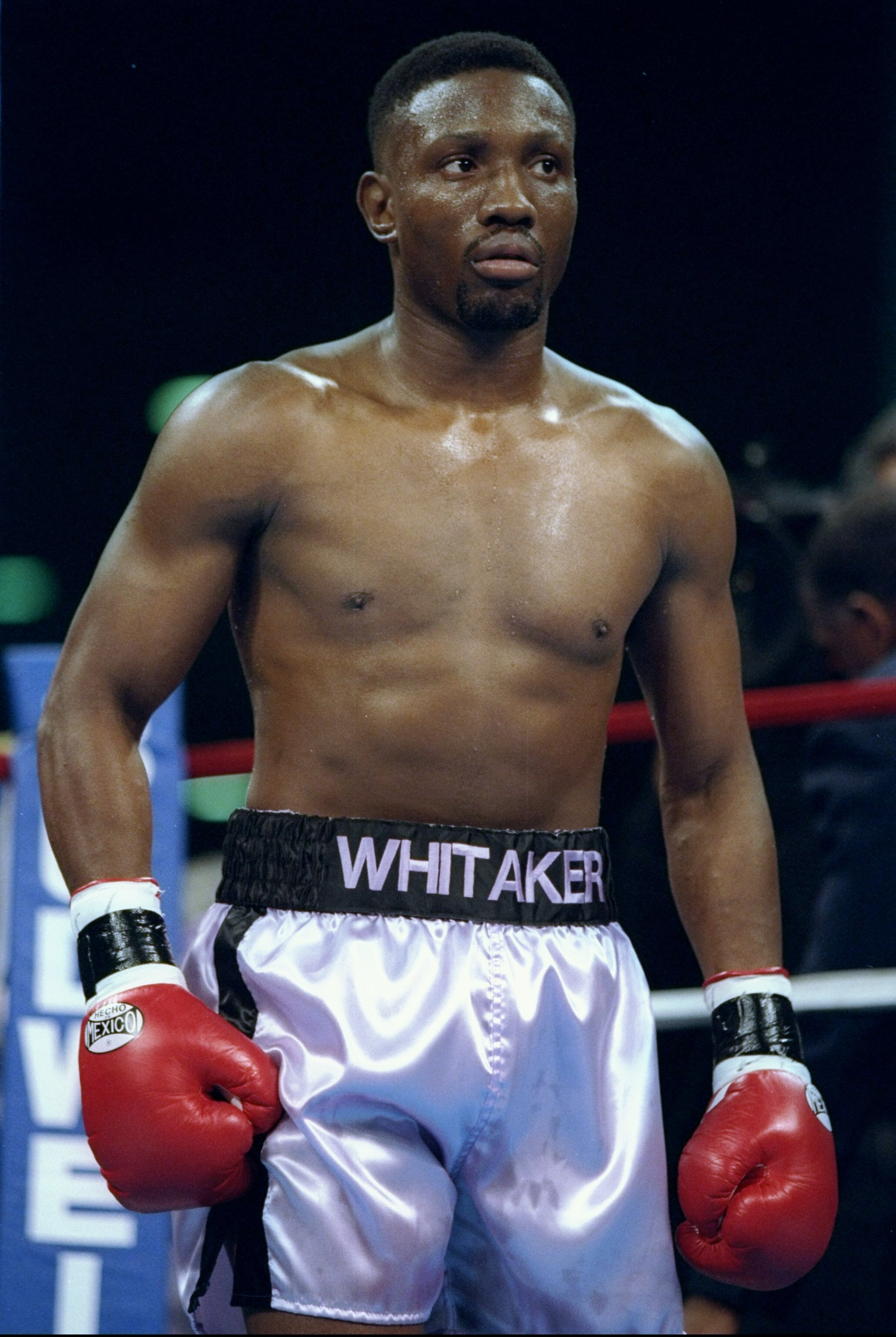 18 Nov 1995:  Pernell Whitaker stands in the ring during a fight against Jake Rodriguez.  Whitaker won the fight with a sixth round knockout. Mandatory Credit: Al Bello  /Allsport