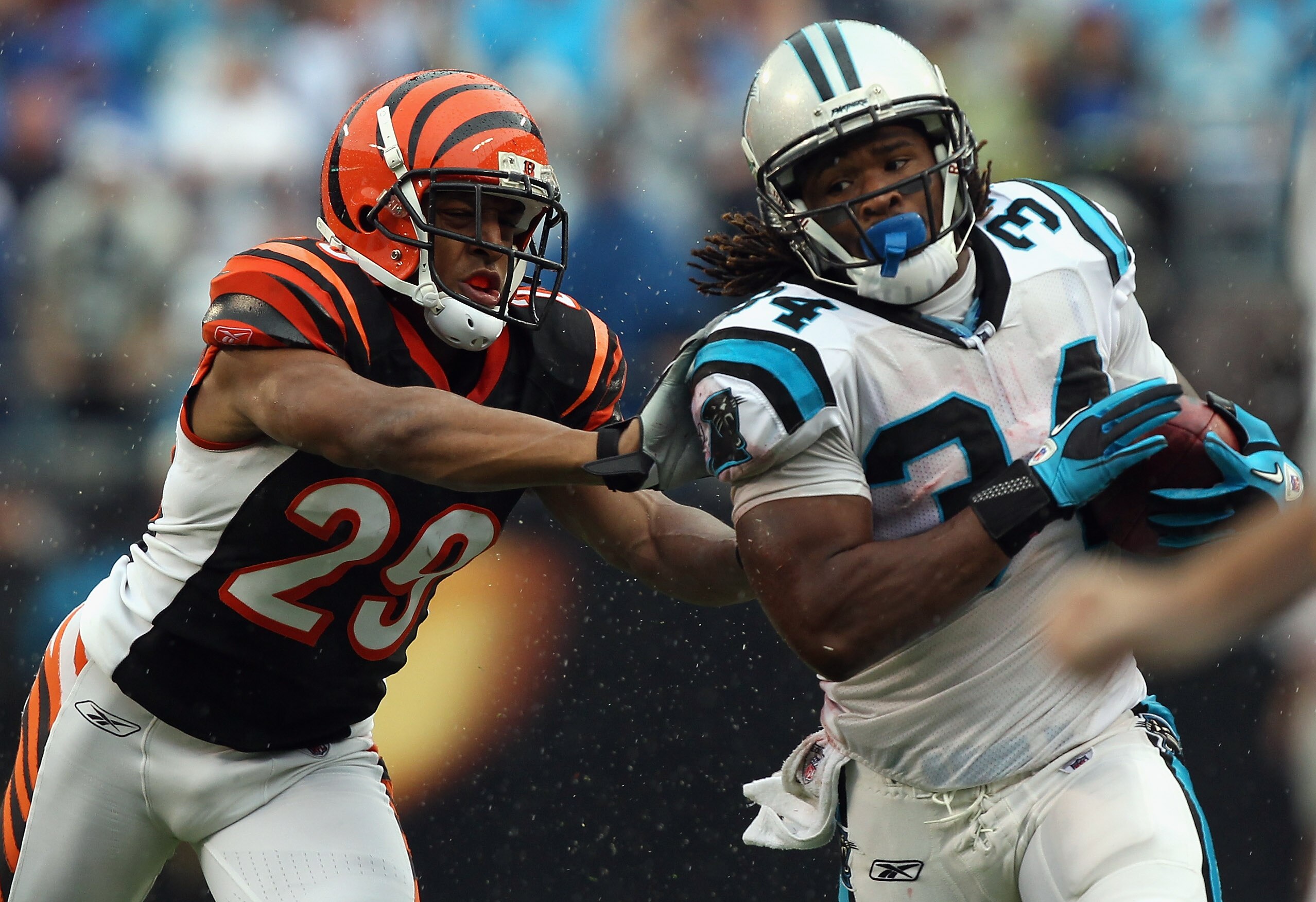 CHARLOTTE, NC - SEPTEMBER 26:  Leon Hall #29 of the Cincinnati Bengals pushes DeAngelo Williams #34 of the Carolina Panthers out of bounds during their game at Bank of America Stadium on September 26, 2010 in Charlotte, North Carolina.  (Photo by Streeter
