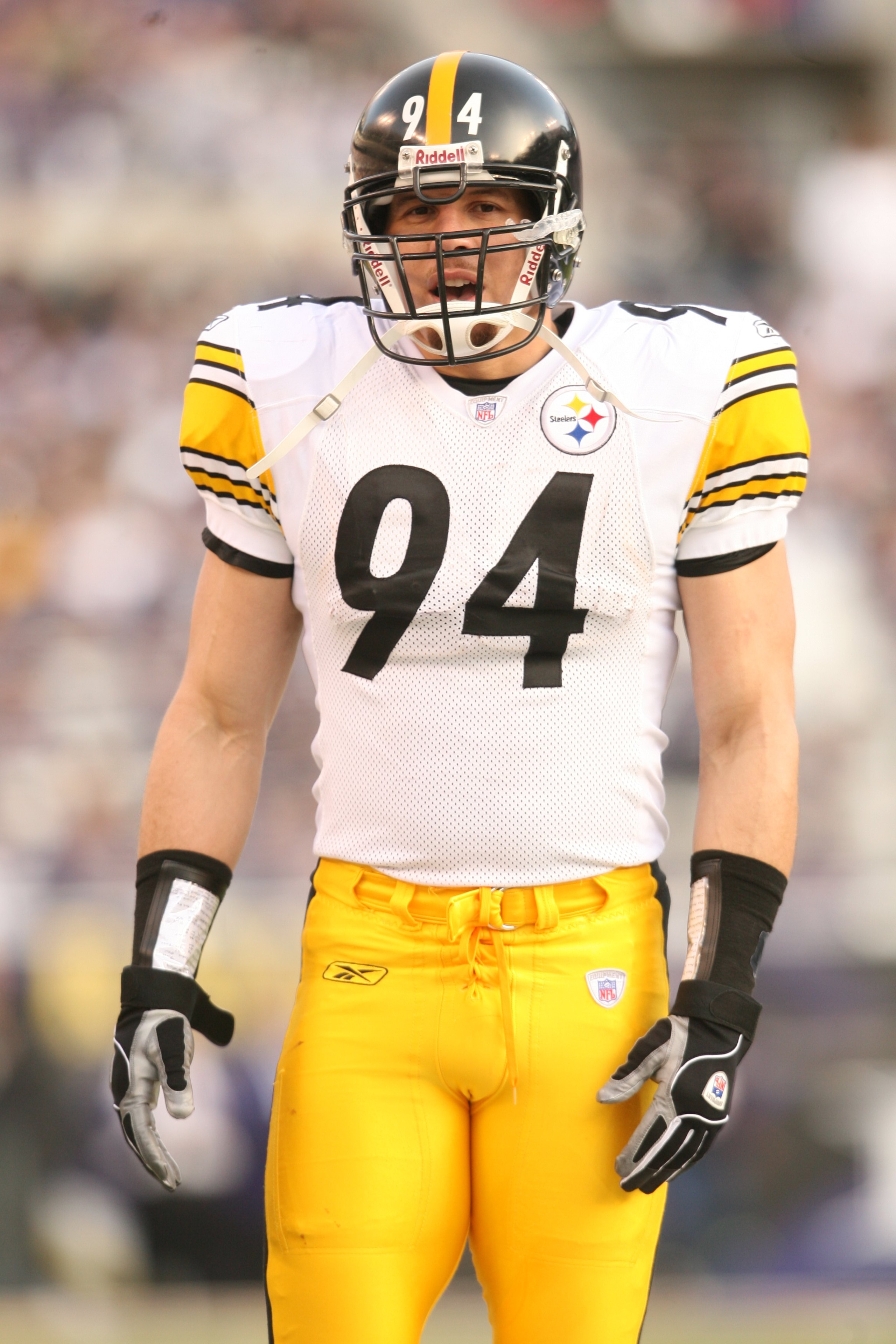 BALTIMORE - NOVEMBER 26:  Linebacker Chad Brown #94 of the Pittsburgh Steelers looks on against the Baltimore Ravens on November 26, 2006 at M&T Bank Stadium in Baltimore, Maryland. The Ravens defeated the Steelers 27-0. (Photo by Nick Laham/Getty Images)