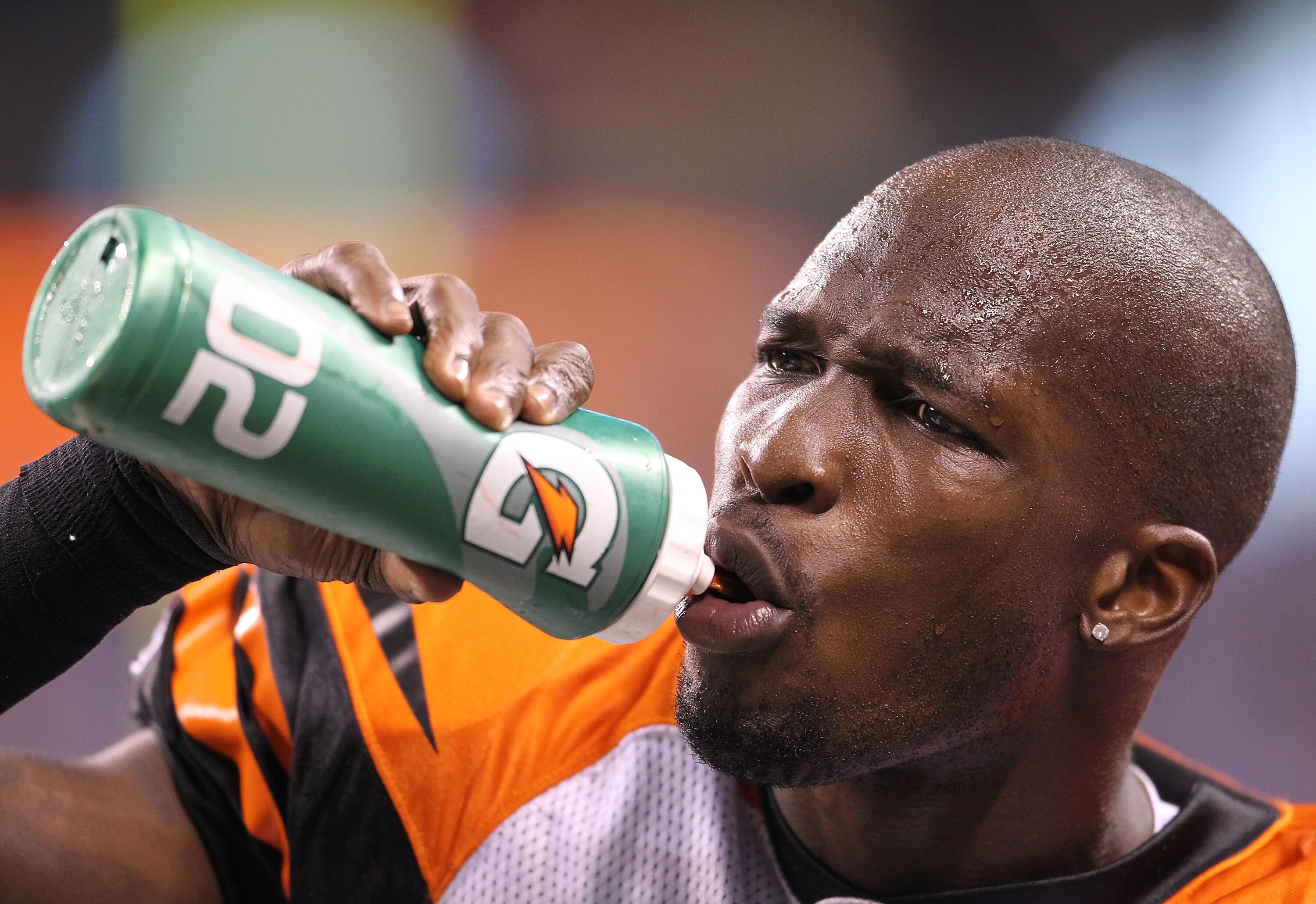 INDIANAPOLIS - SEPTEMBER 02:  Chad Ochocinco #85 of the Cincinnati Bengals watches from the sidelines during the NFL preseason game against the Indianapolis Colts at Lucas Oil Stadium on September 2, 2010 in Indianapolis, Indiana.  (Photo by Andy Lyons/Ge