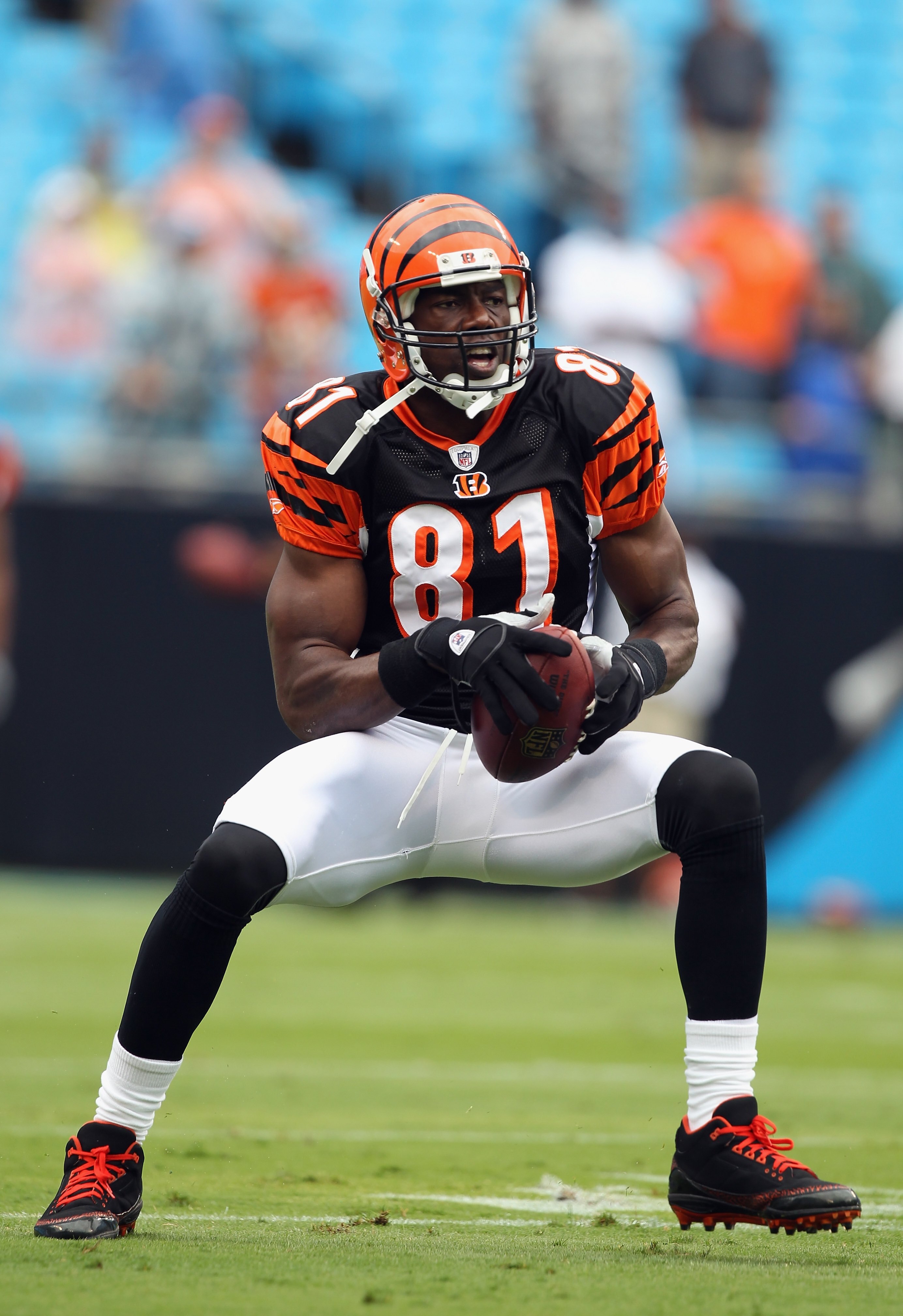 CHARLOTTE, NC - SEPTEMBER 26:  Terrell Owens #81 of the Cincinnati Bengals against the Carolina Panthers during their game at Bank of America Stadium on September 26, 2010 in Charlotte, North Carolina.  (Photo by Streeter Lecka/Getty Images)