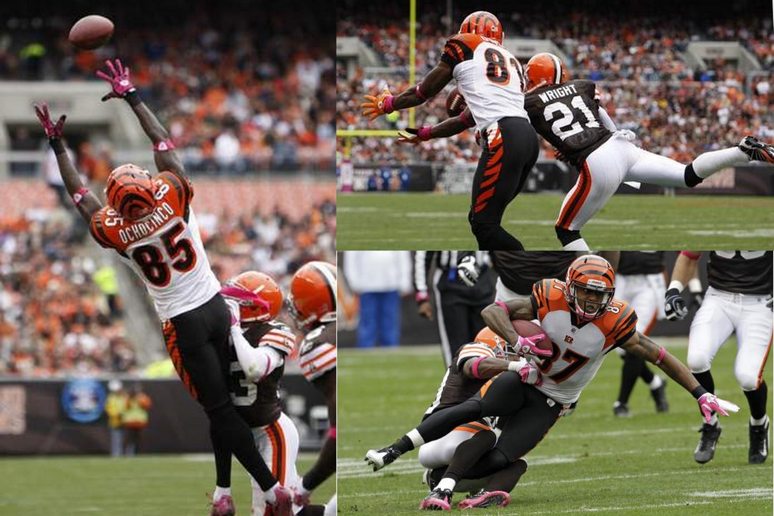 Bengals Fighting Forward