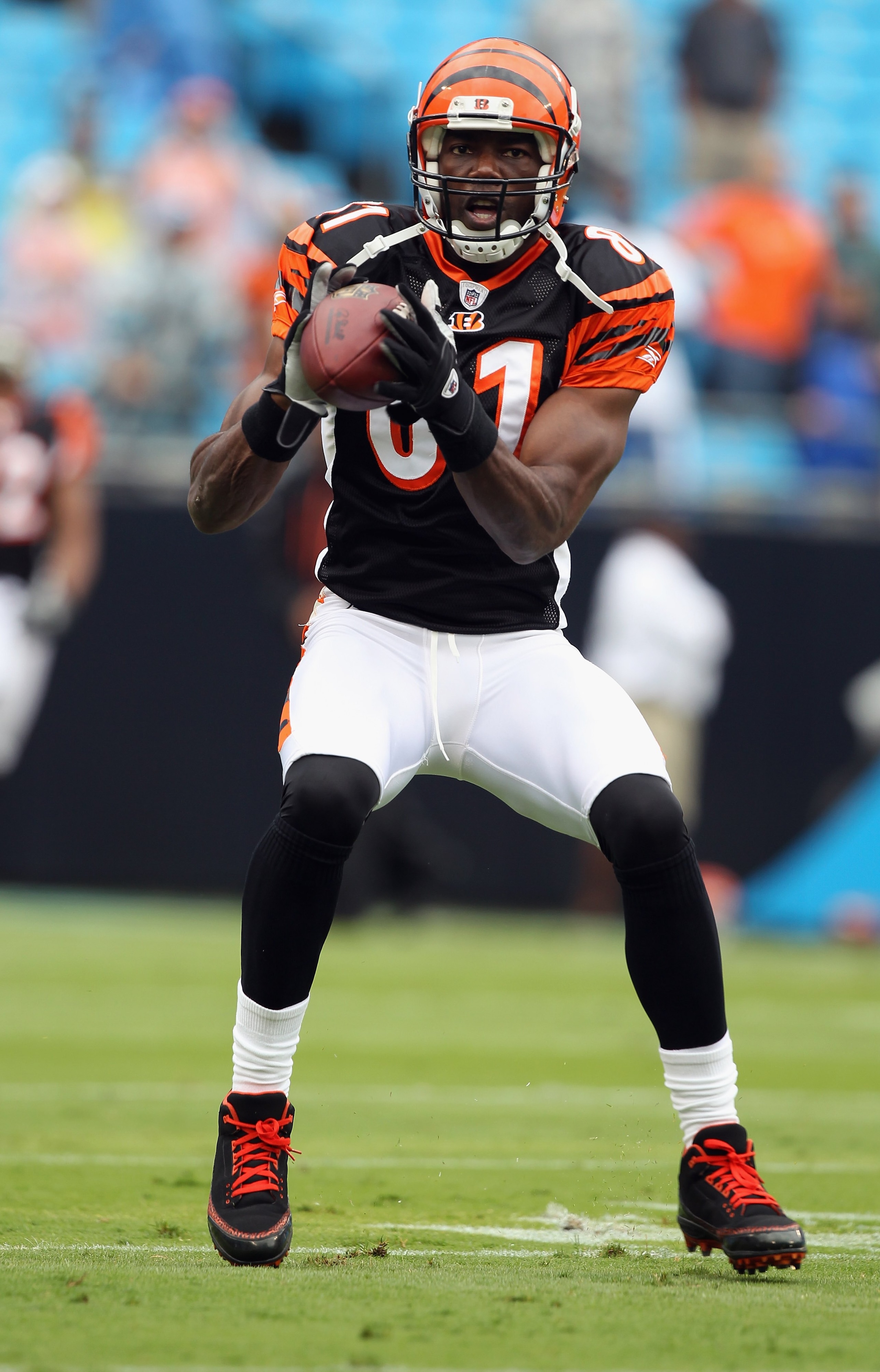CHARLOTTE, NC - SEPTEMBER 26:  Terrell Owens #81 of the Cincinnati Bengals against the Carolina Panthers during their game at Bank of America Stadium on September 26, 2010 in Charlotte, North Carolina.  (Photo by Streeter Lecka/Getty Images)