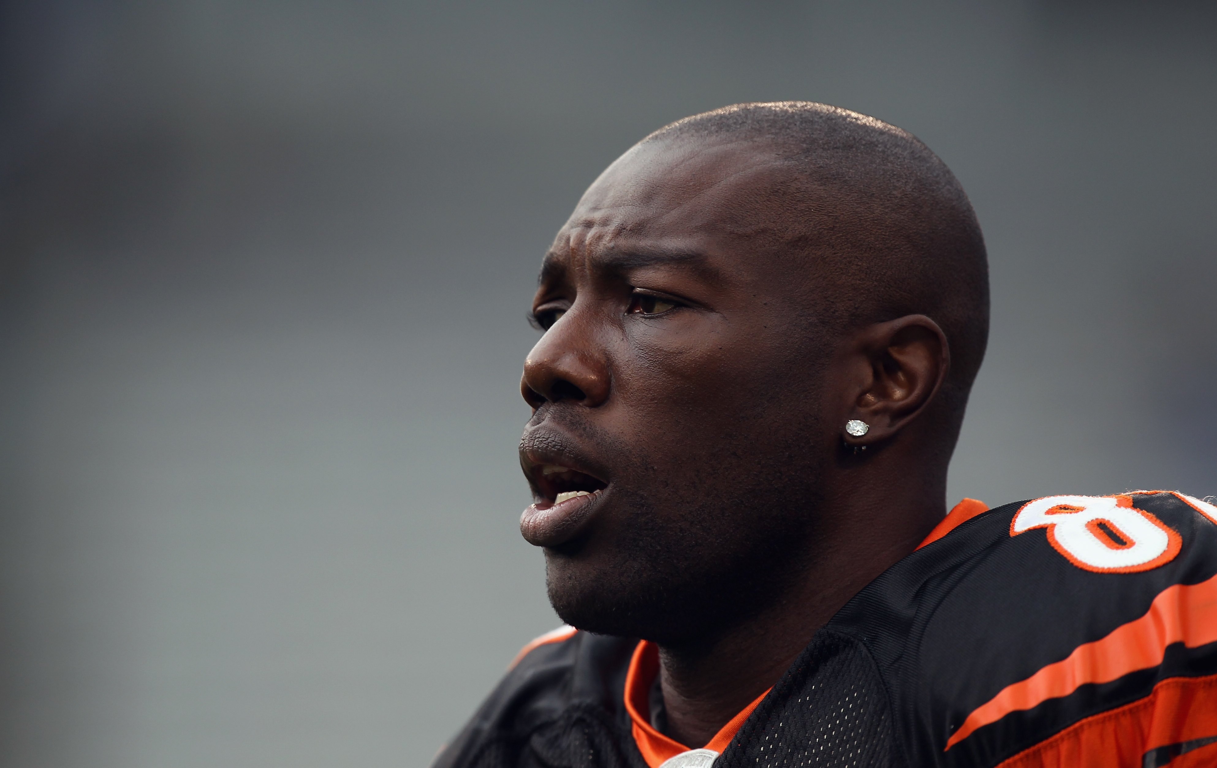 CHARLOTTE, NC - SEPTEMBER 26:  Terrell Owens #81 of the Cincinnati Bengals against the Carolina Panthers during their game at Bank of America Stadium on September 26, 2010 in Charlotte, North Carolina.  (Photo by Streeter Lecka/Getty Images)