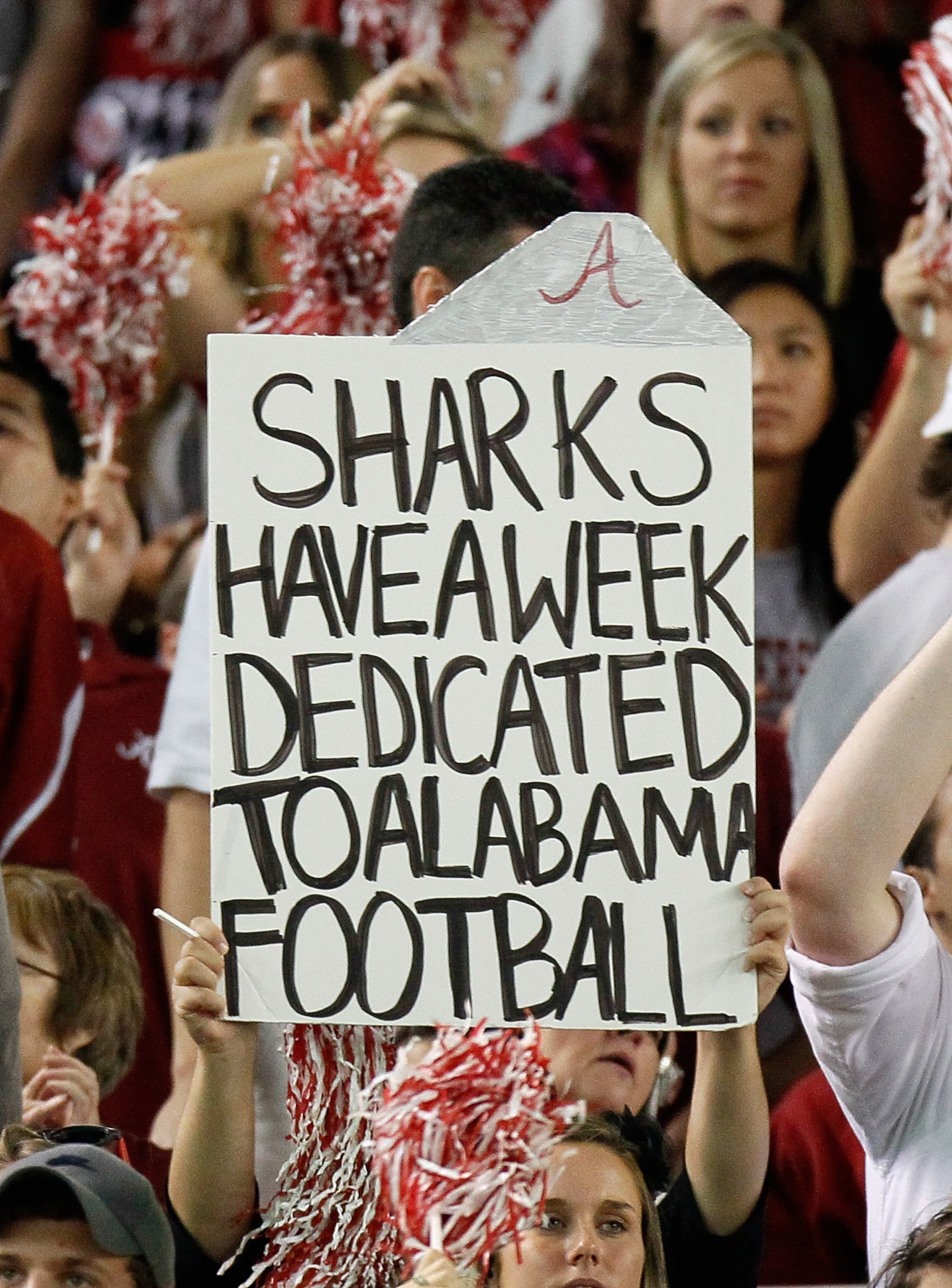 TUSCALOOSA, AL - OCTOBER 02:  A fan of the Alabama Crimson Tide holds up a sign about Alabama football during the game against the Florida Gators at Bryant-Denny Stadium on October 2, 2010 in Tuscaloosa, Alabama.  (Photo by Kevin C. Cox/Getty Images)
