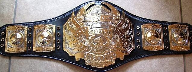 The prize on offer: the TNA World Heavyweight Championship