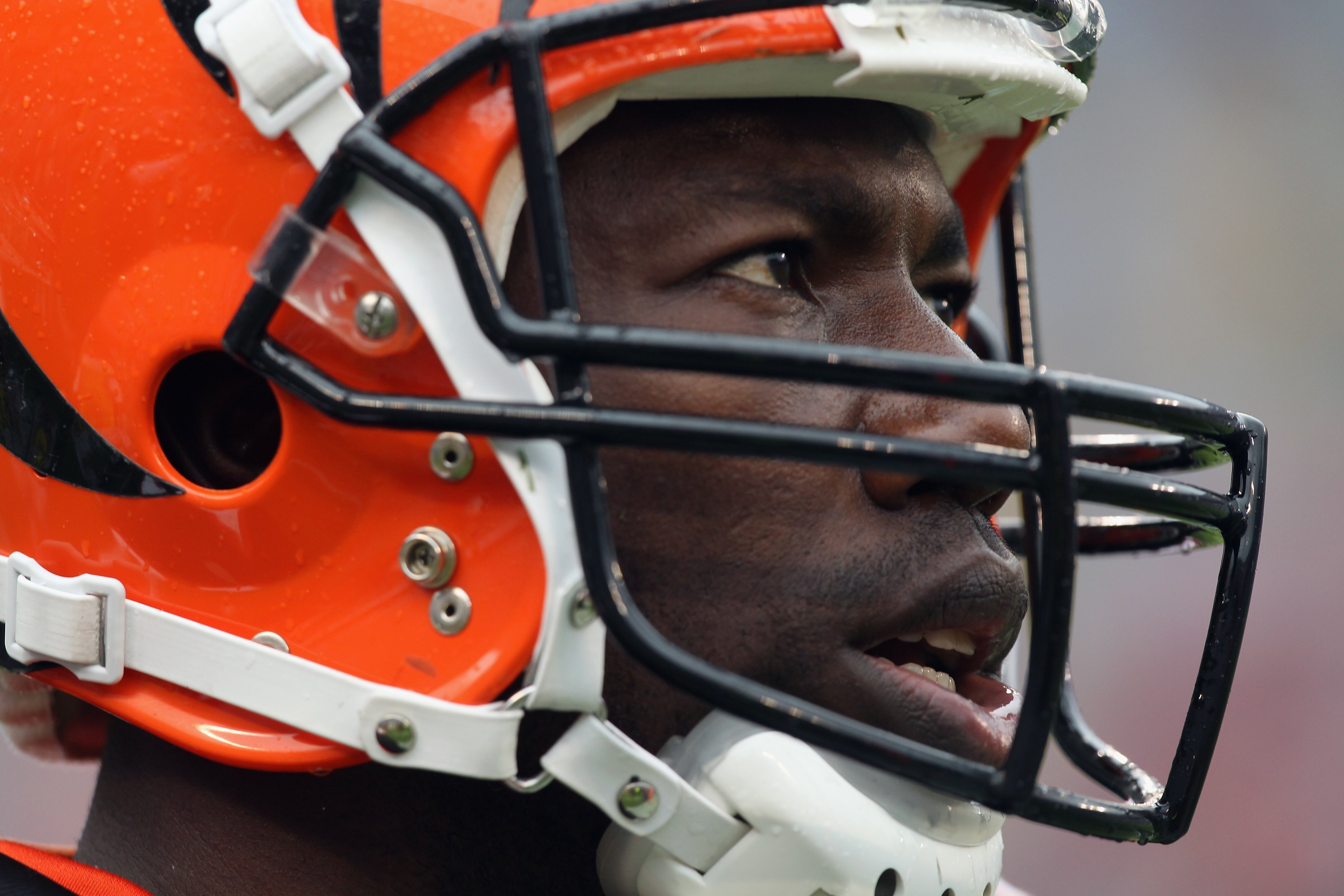 CHARLOTTE, NC - SEPTEMBER 26:  Terrell Owens #81 of the Cincinnati Bengals against the Carolina Panthers during their game at Bank of America Stadium on September 26, 2010 in Charlotte, North Carolina.  (Photo by Streeter Lecka/Getty Images)