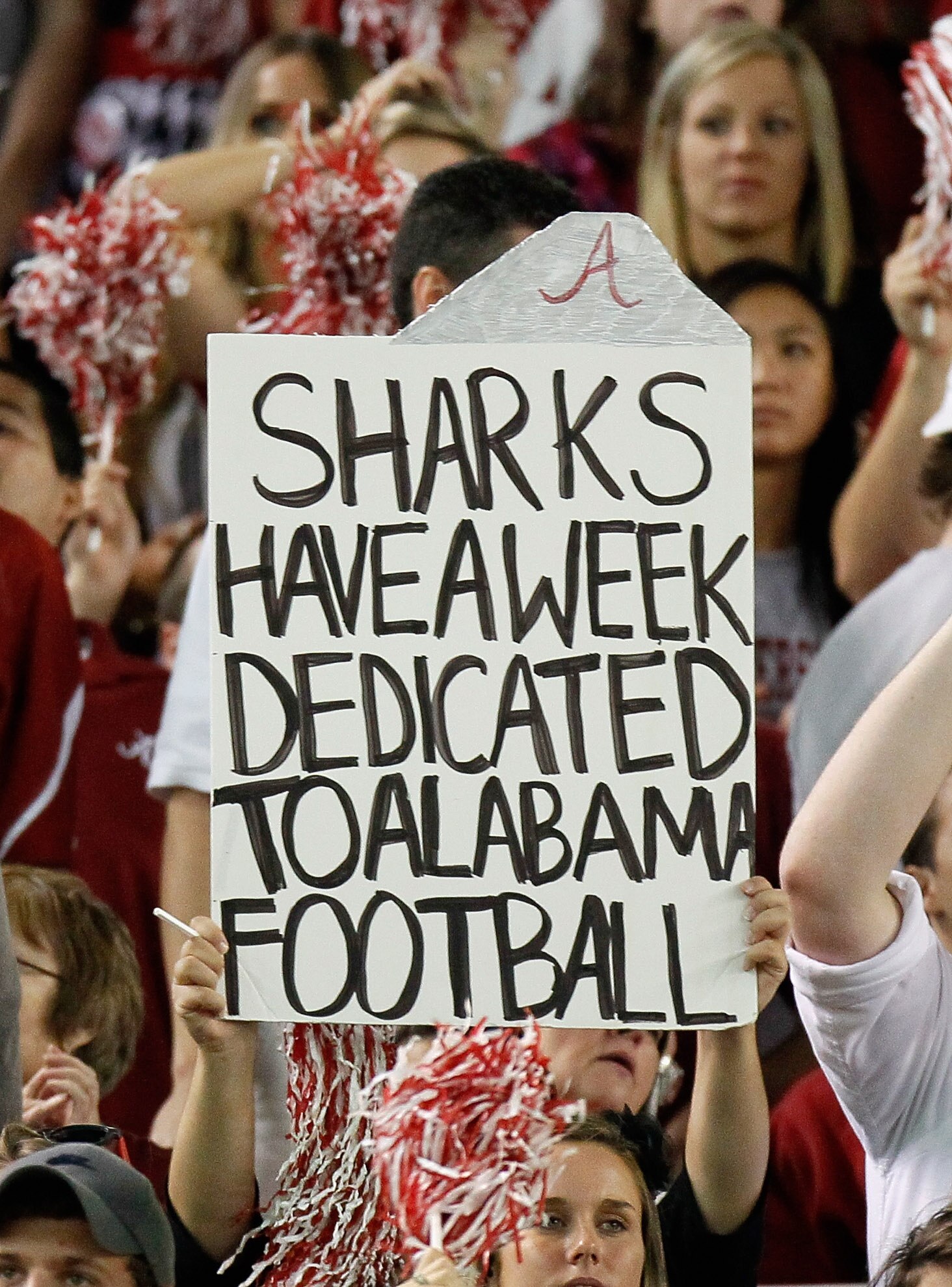 TUSCALOOSA, AL - OCTOBER 02:  A fan of the Alabama Crimson Tide holds up a sign about Alabama football during the game against the Florida Gators at Bryant-Denny Stadium on October 2, 2010 in Tuscaloosa, Alabama.  (Photo by Kevin C. Cox/Getty Images)