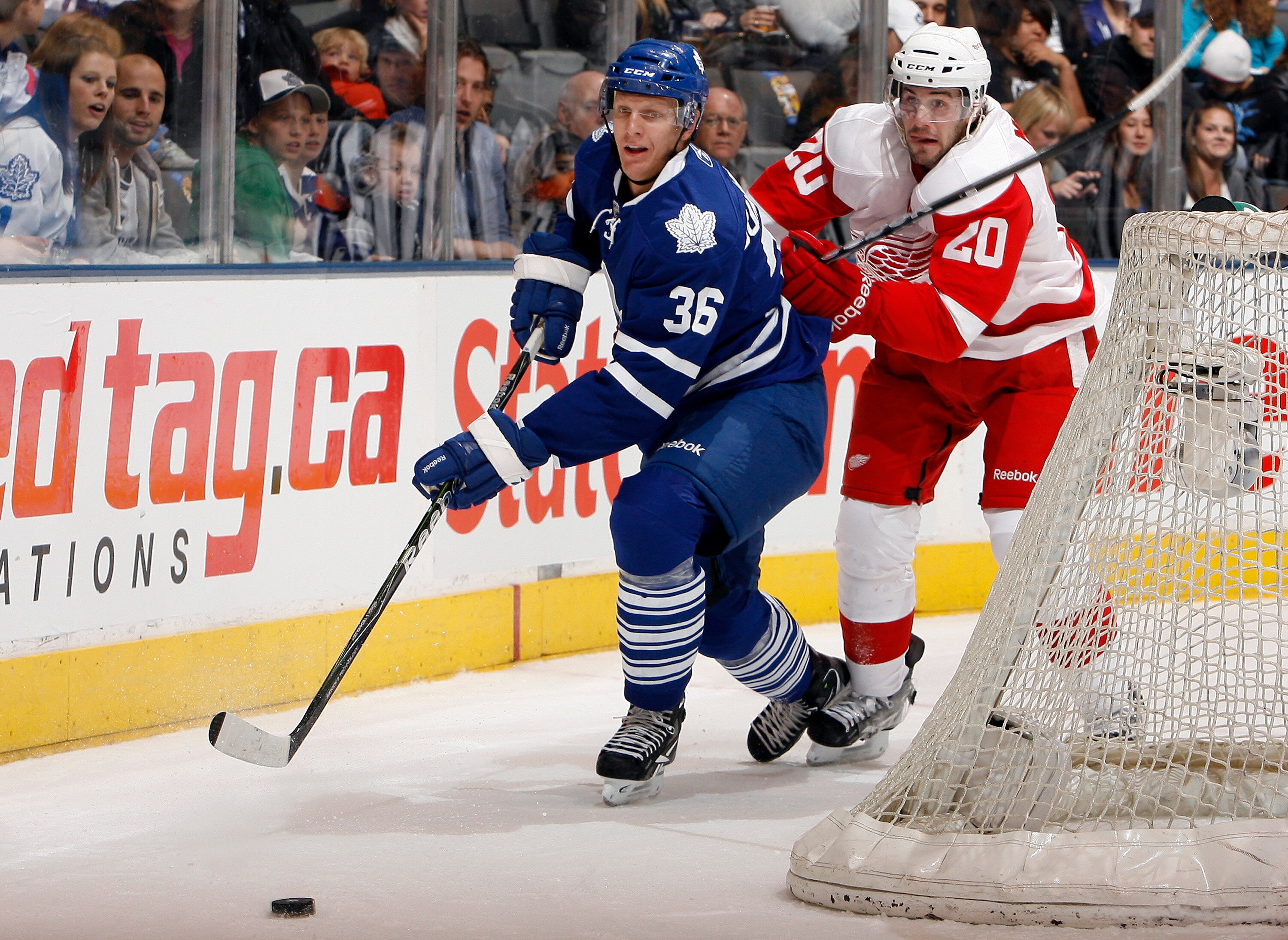 TORONTO - OCTOBER 2: Carl Gunnarsson #36 of the Toronto Maple Leafs clears the puck away from Drew Miller #20 of the Detroit Red Wings during a preseason NHL game at the Air Canada Centre October 2, 2010 in Toronto, Ontario, Canada. (Photo by Abelimages/G