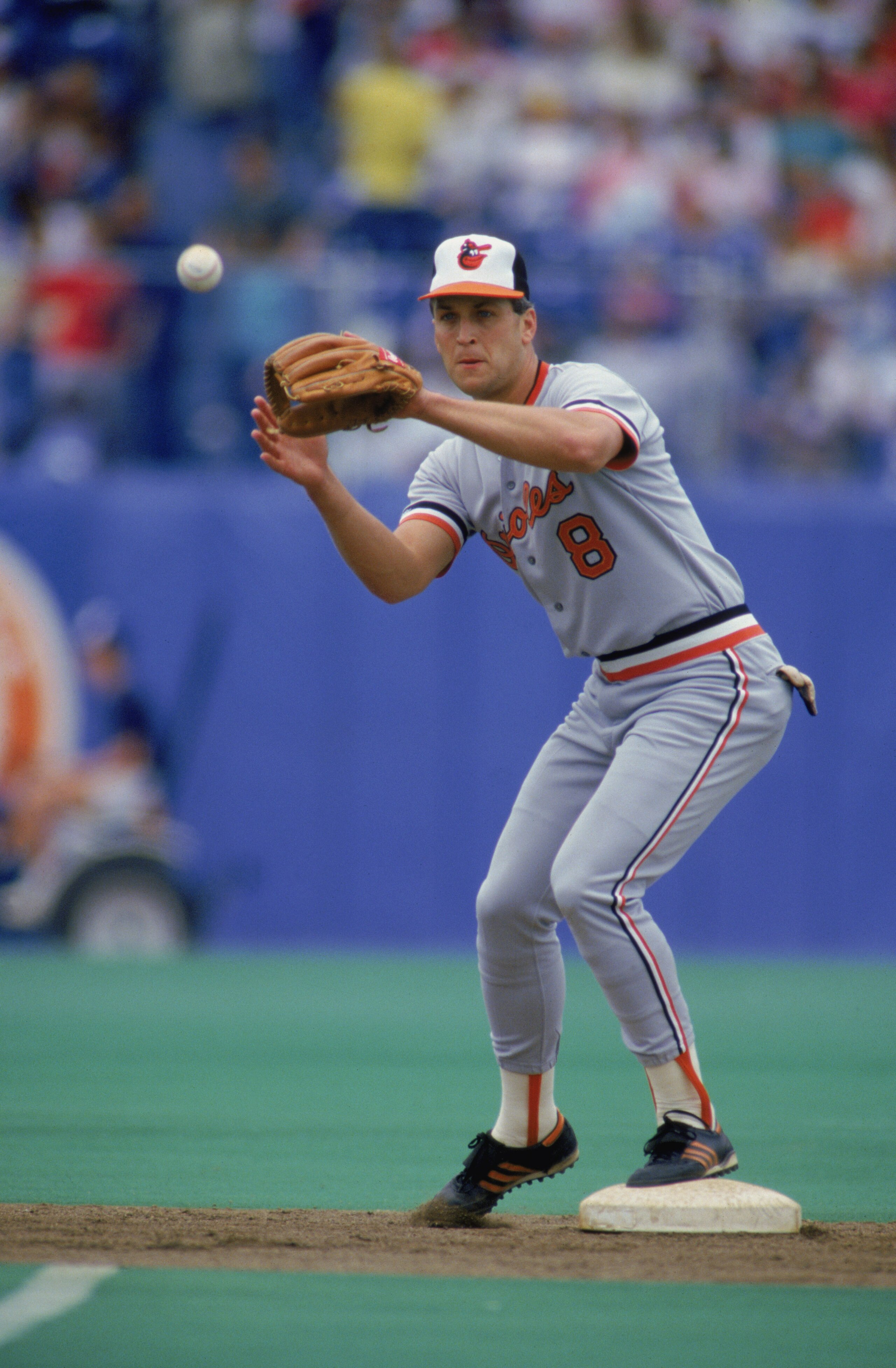 TORONTO - June 1:   Cal Ripken Jr. #8 of the Baltimore Orioles catches the ball during the game against the Toronto Blue Jays at Toronto Skydome in Toronto, Ontario Canada on June 1,1987.  (photo by Rick Stewart/Getty Images)