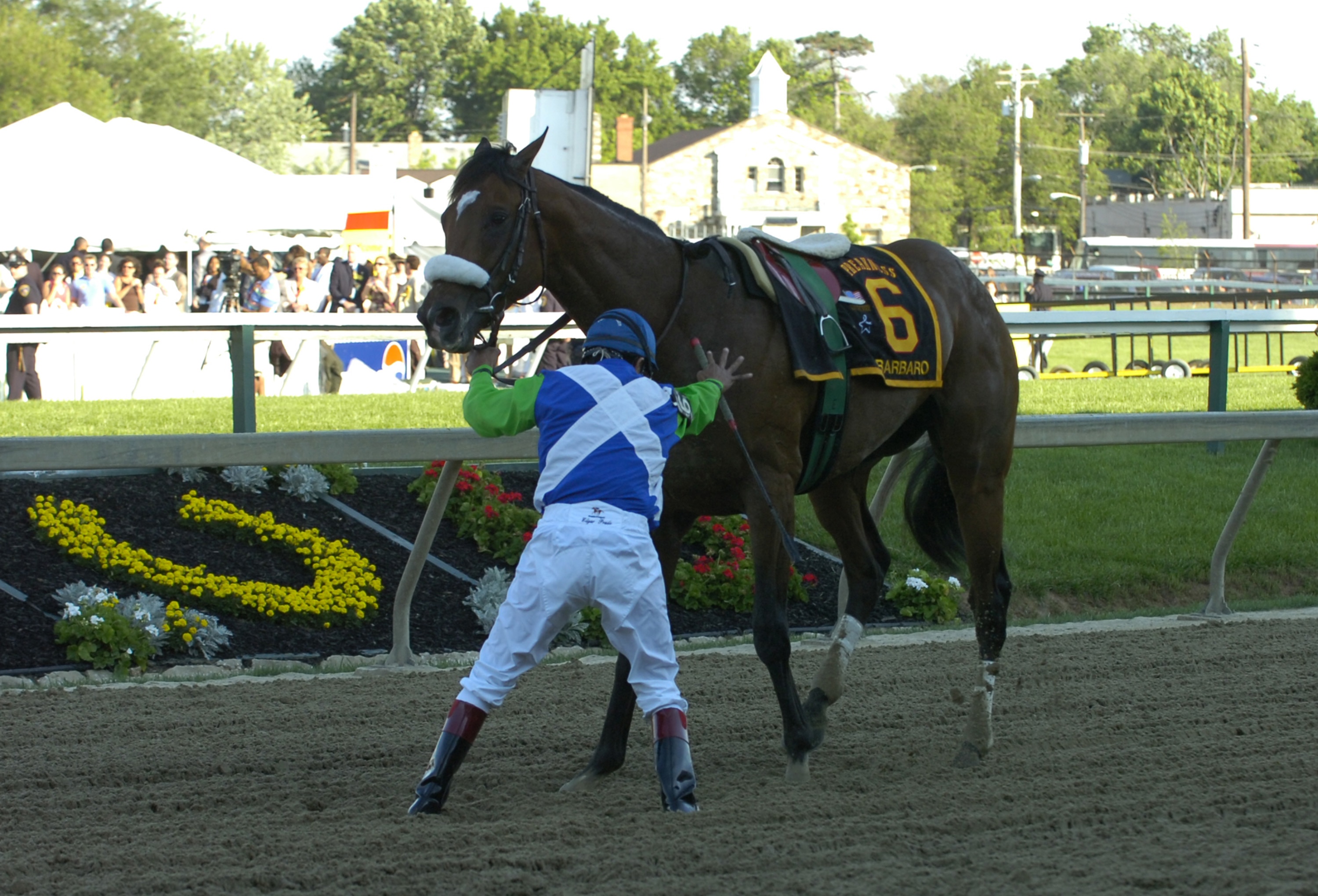 Barbaro, ridden by Edgar Prado, pulls up lame at the beginning of the 131st Preakness Stakes at Pimlico Race Track in Baltimore, Maryland on Saturday May 20, 2006. (Photo by A. Messerschmidt/Getty Images)