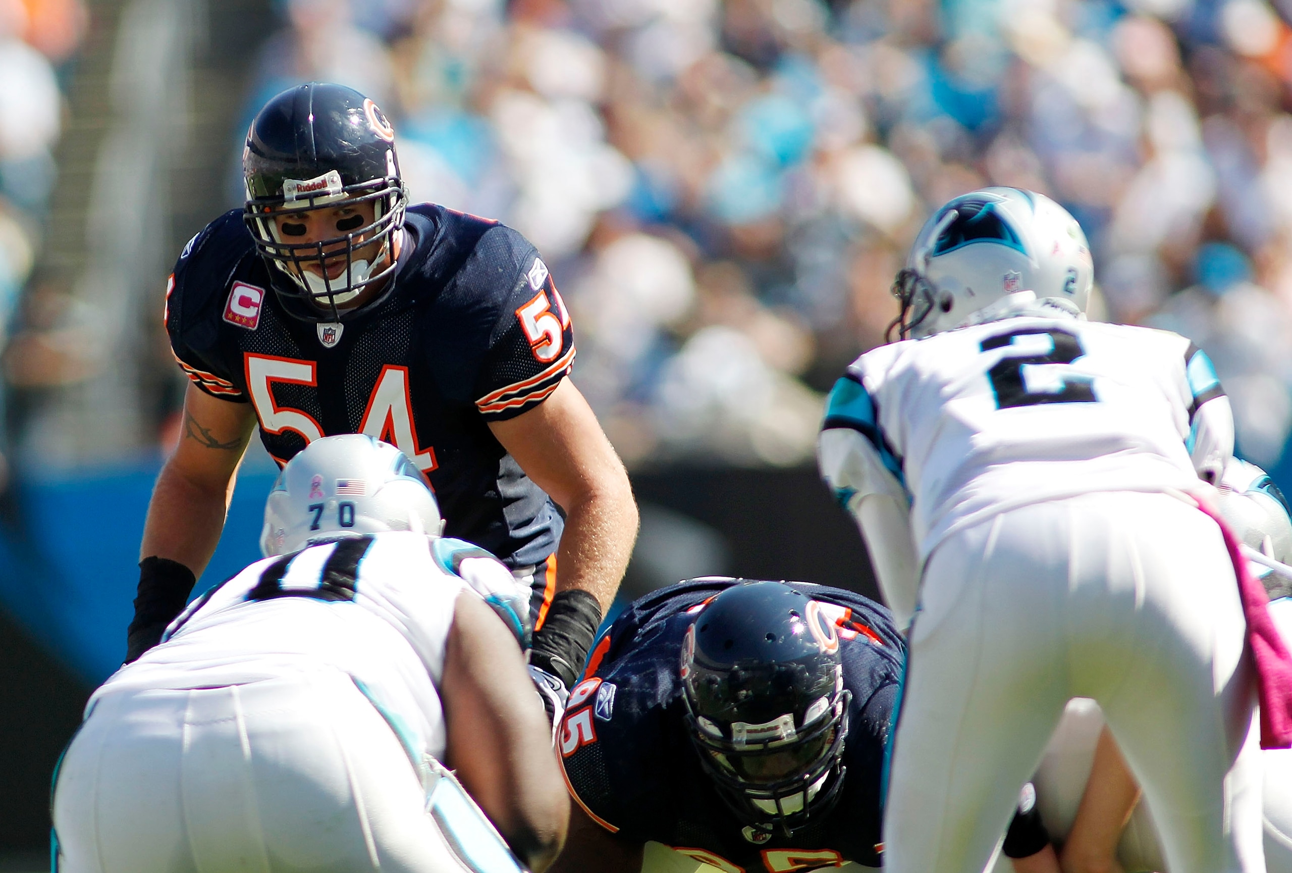 CHARLOTTE, NC - OCTOBER 10: Linebacker Brian Urlacher #54 of the Chicago Bears watches quarterback Jimmy Clausen #2 of the Carolina Panthers at Bank of America Stadium on October 10, 2010 in Charlotte, North Carolina. (Photo by Geoff Burke/Getty Images)