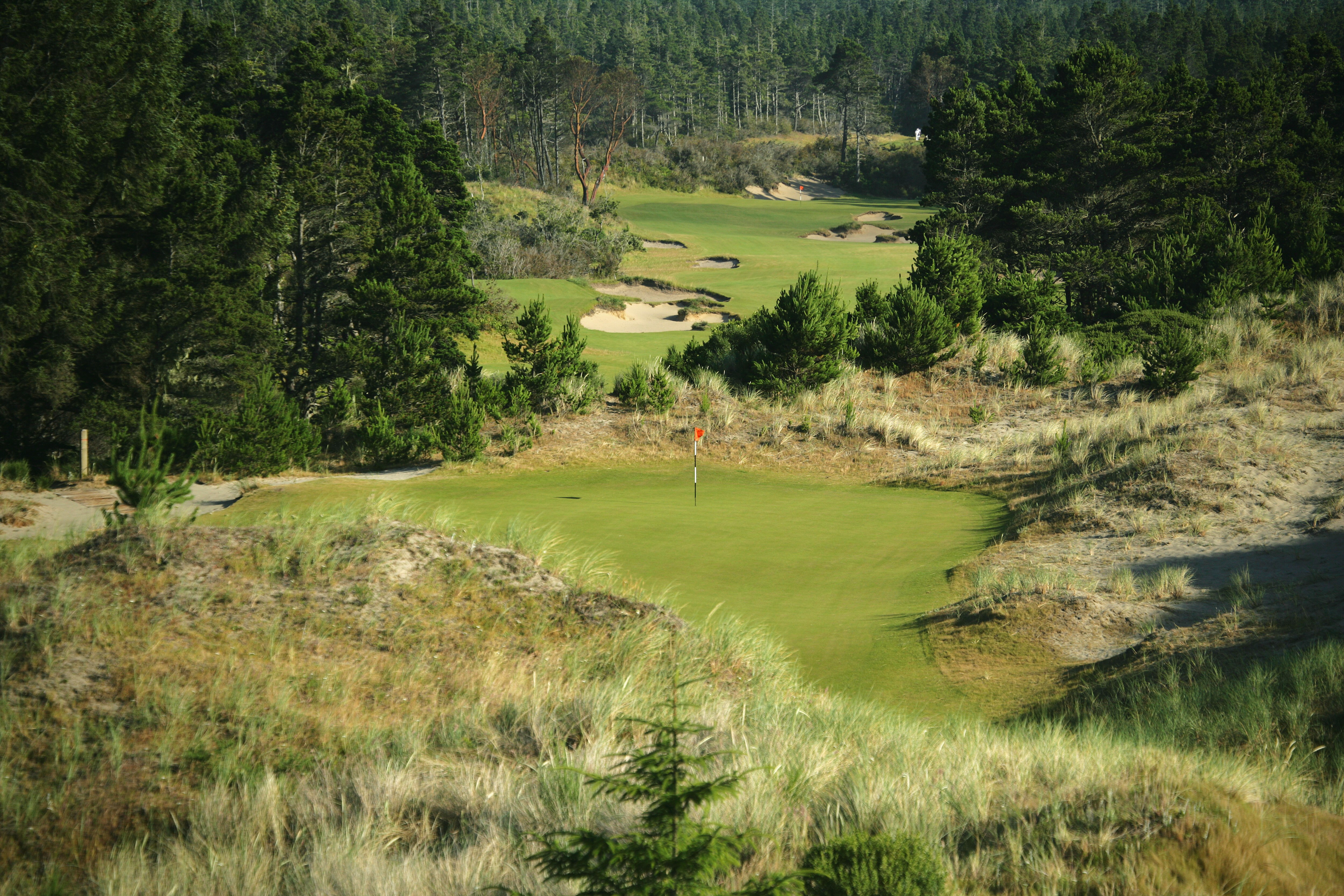 BANDON, OREGON, UNITED STATES - JUNE 16: The 214 yard par 3, 2nd hole with the 549 yard par 5, 3rd hole behind on the Bandon Trails Course, designed by Bill Coore, and Ben Crenshaw at the Bandon Dunes Golf Resort on June 16, 2005 in Bandon, Oregon, United