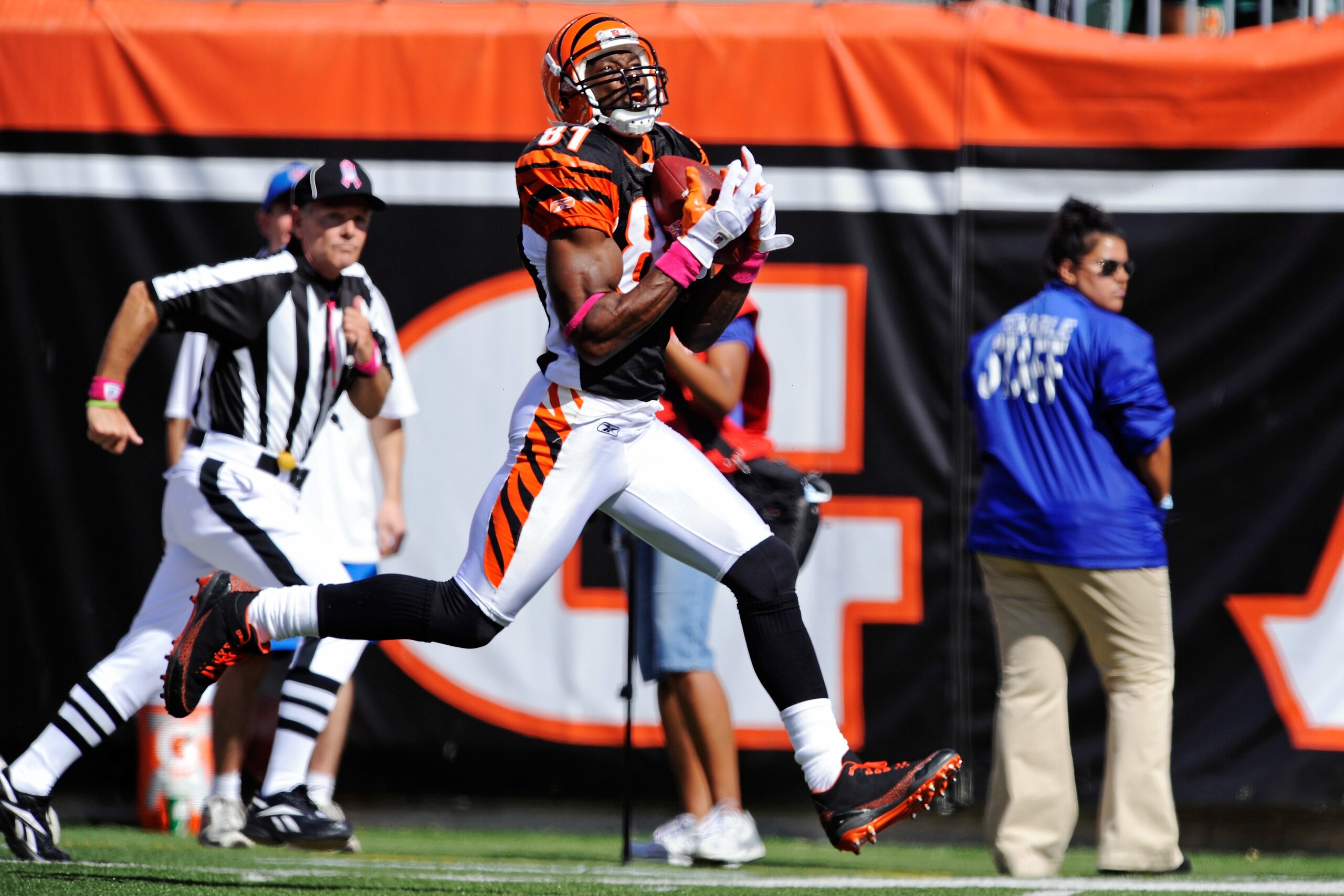 CINCINNATI, OH - OCTOBER 10:  Terrell Owens #81 of the Cincinnati Bengals pulls in a pass to complete a 43-yard touchdown play against the Tampa Bay Buccaneers in the first quarter at Paul Brown Stadium on October 10, 2010 in Cincinnati, Ohio.  (Photo by