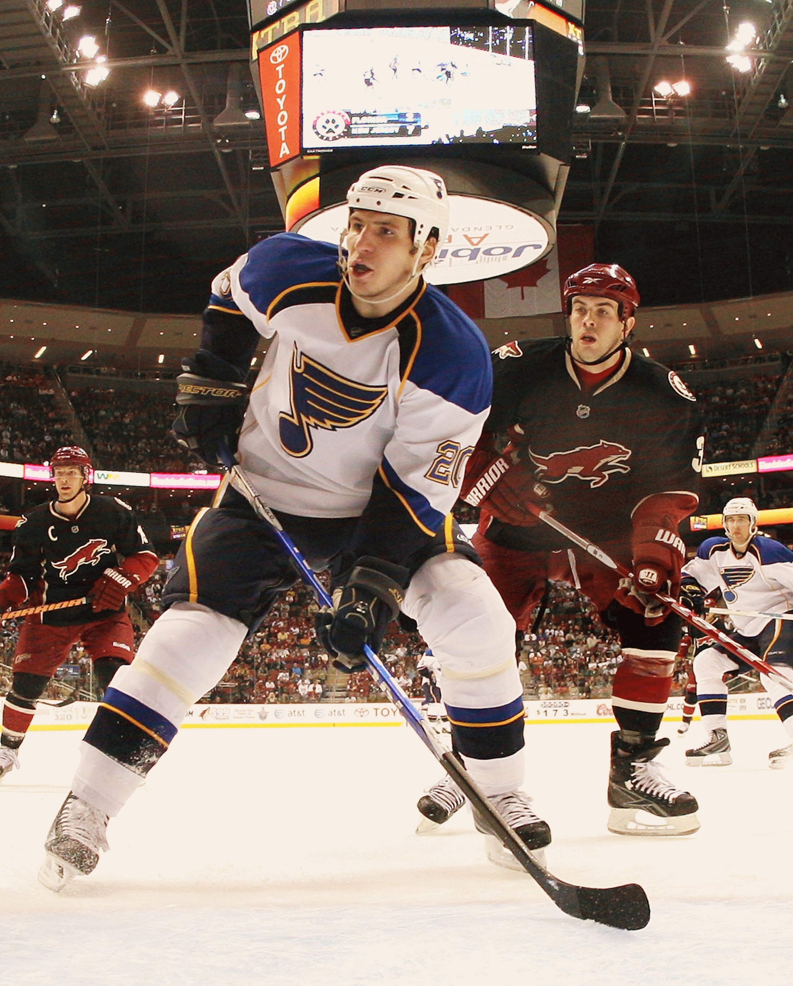 GLENDALE, AZ - FEBRUARY 28: Alex Steen #20 of the St. Louis Blues skates against the Phoenix Coyotes on February 28, 2009 at the Jobing.com Arena in Glendale, Arizona. (Photo by Bruce Bennett/Getty Images)