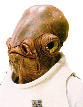 No one could ever go wrong with a Star Wars character.