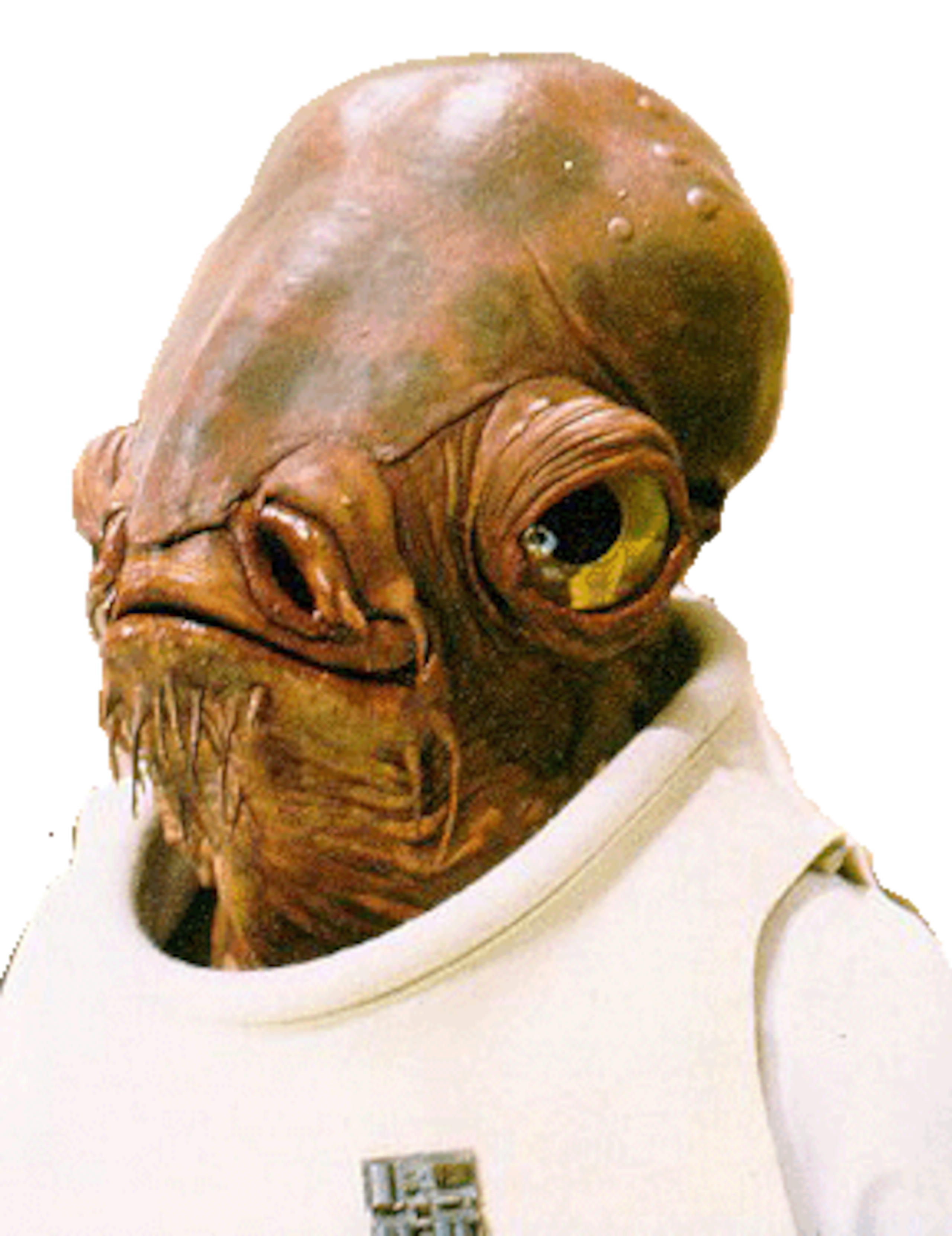 No one could ever go wrong with a Star Wars character.