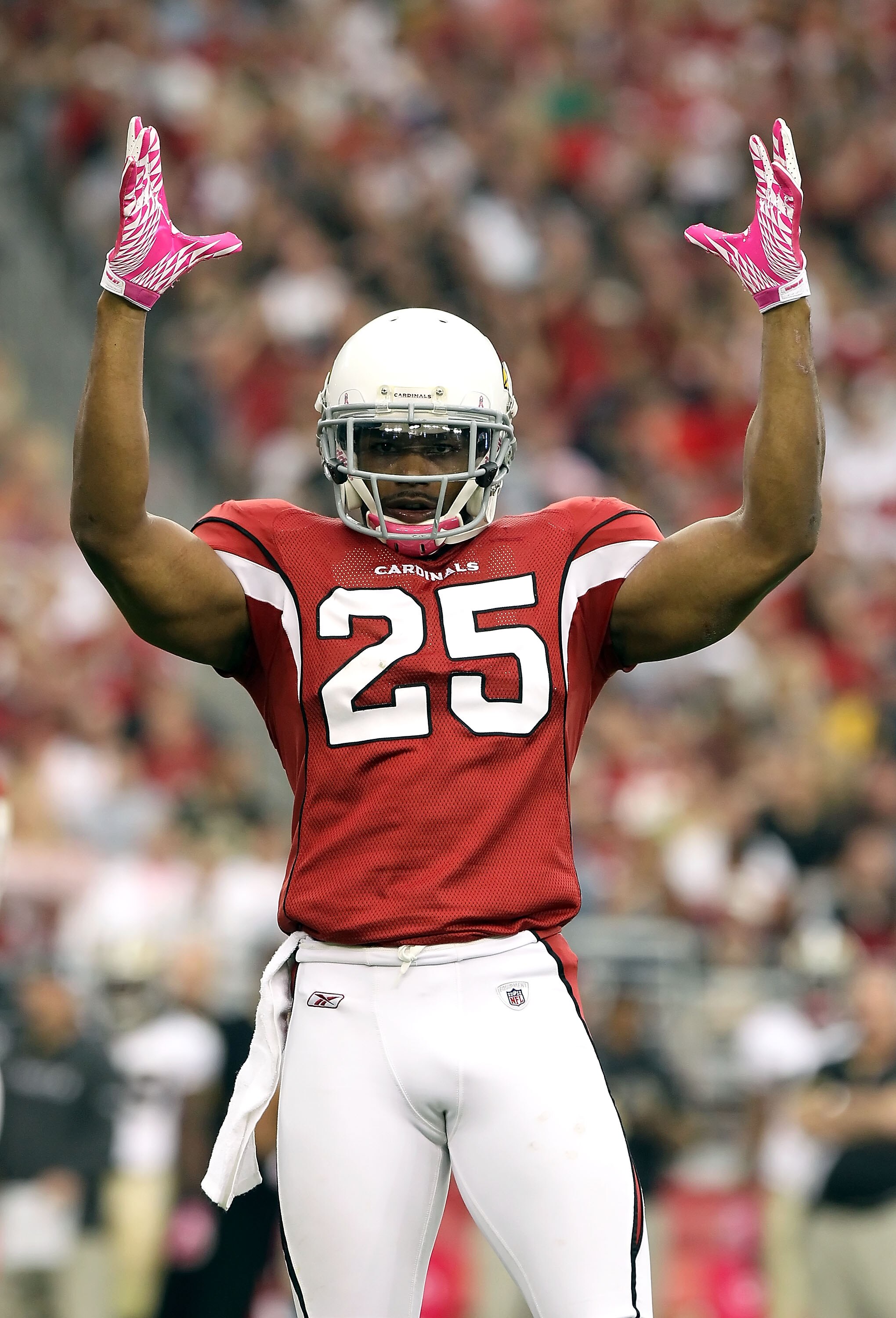 GLENDALE, AZ - OCTOBER 10:  Safety Kerry Rhodes #25 of the Arizona Cardinals pumps up the crowd during the fourth quarter of the NFL game against the New Orleans Saints at the University of Phoenix Stadium on October 10, 2010 in Glendale, Arizona.  The Ca