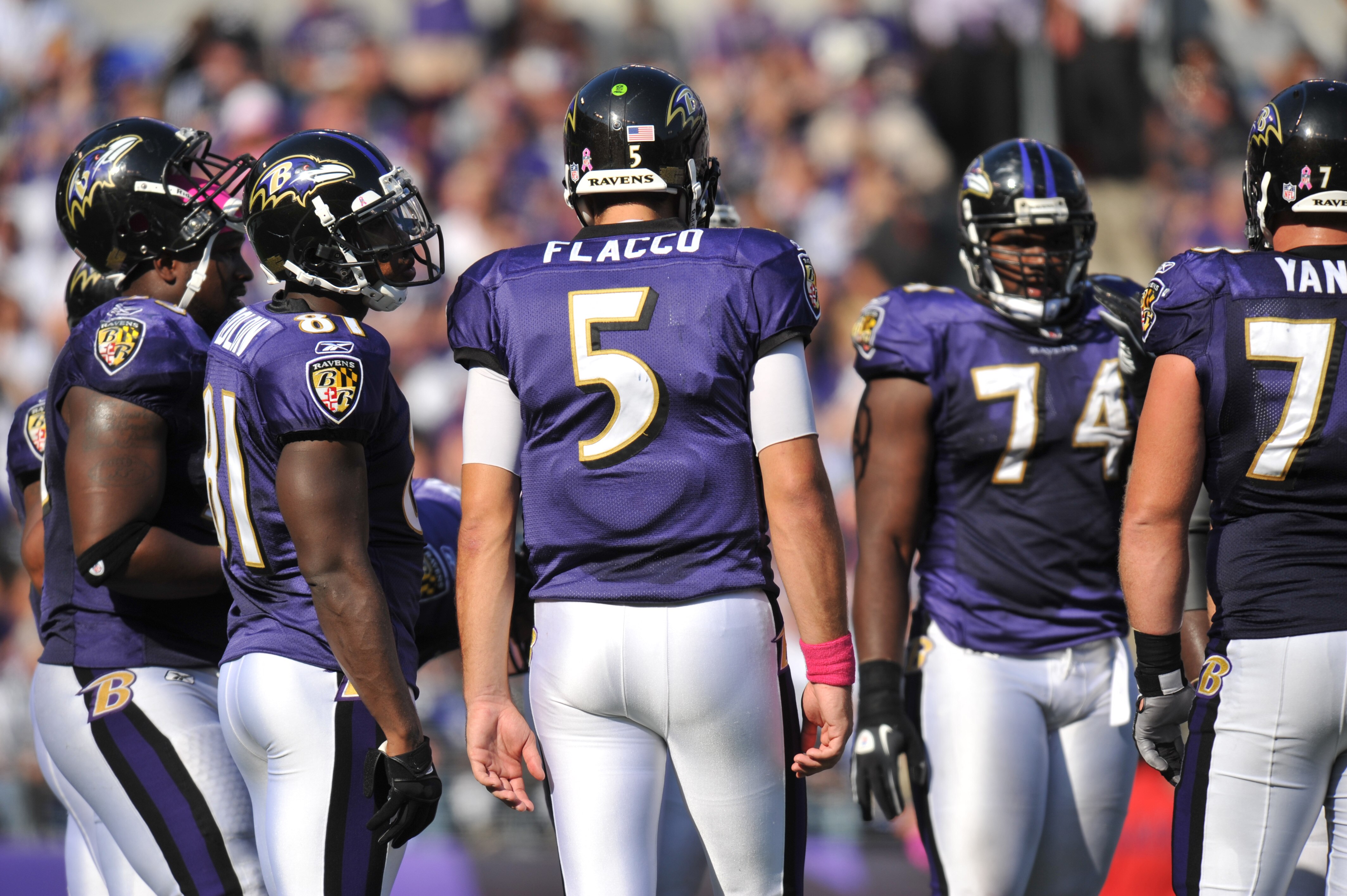 BALTIMORE, MD - OCTOBER 10: Joe Flacco #5 of the Baltimore Ravens huddles the offense during the game against the Denver Broncos at M&T Bank Stadium on October 10, 2010 in Baltimore, Maryland. Players wore pink in recognition of Breast Cancer Awareness Mo