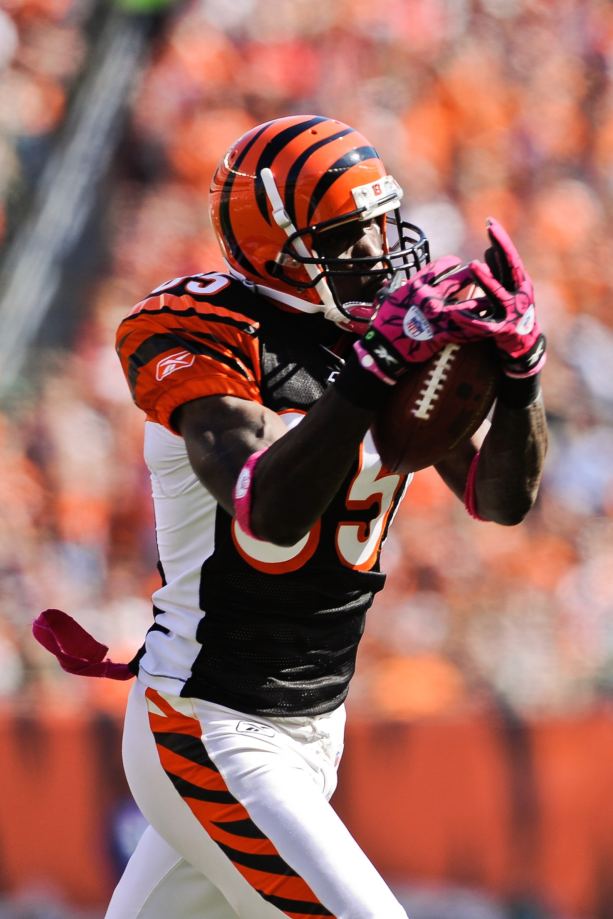 CINCINNATI, OH - OCTOBER 10: Chad Ochocinco #85 of the Cincinnati Bengals makes a reception against the Tampa Bay Buccaneers at Paul Brown Stadium on October 10, 2010 in Cincinnati, Ohio. (Photo by Jamie Sabau/Getty Images)