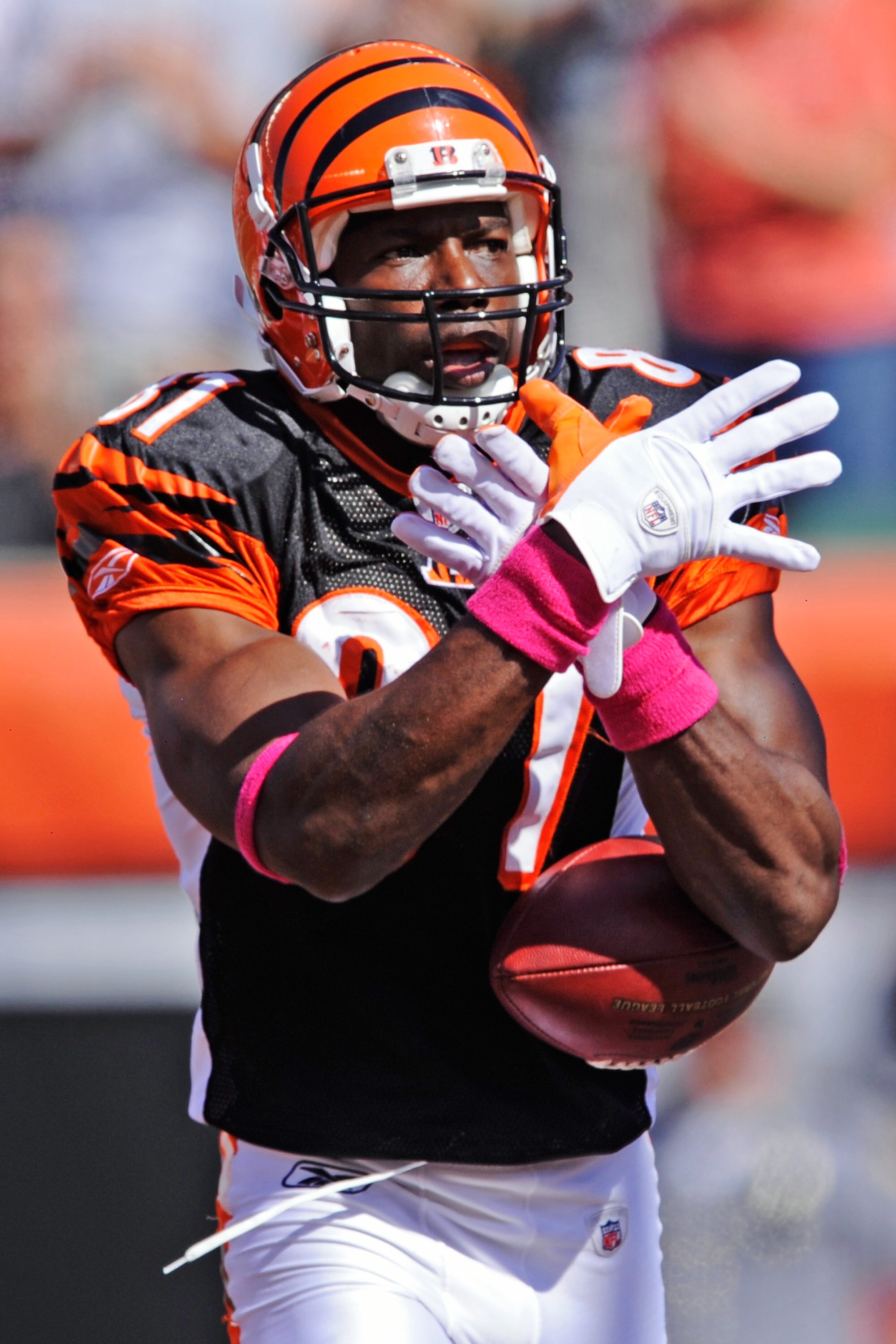CINCINNATI, OH - OCTOBER 10:  Terrell Owens #81 of the Cincinnati Bengals celebrates his 43-yard touchdown catch in the first quarter against the Tampa Bay Buccaneers at Paul Brown Stadium on October 10, 2010 in Cincinnati, Ohio. Tampa Bay defeated Cincin