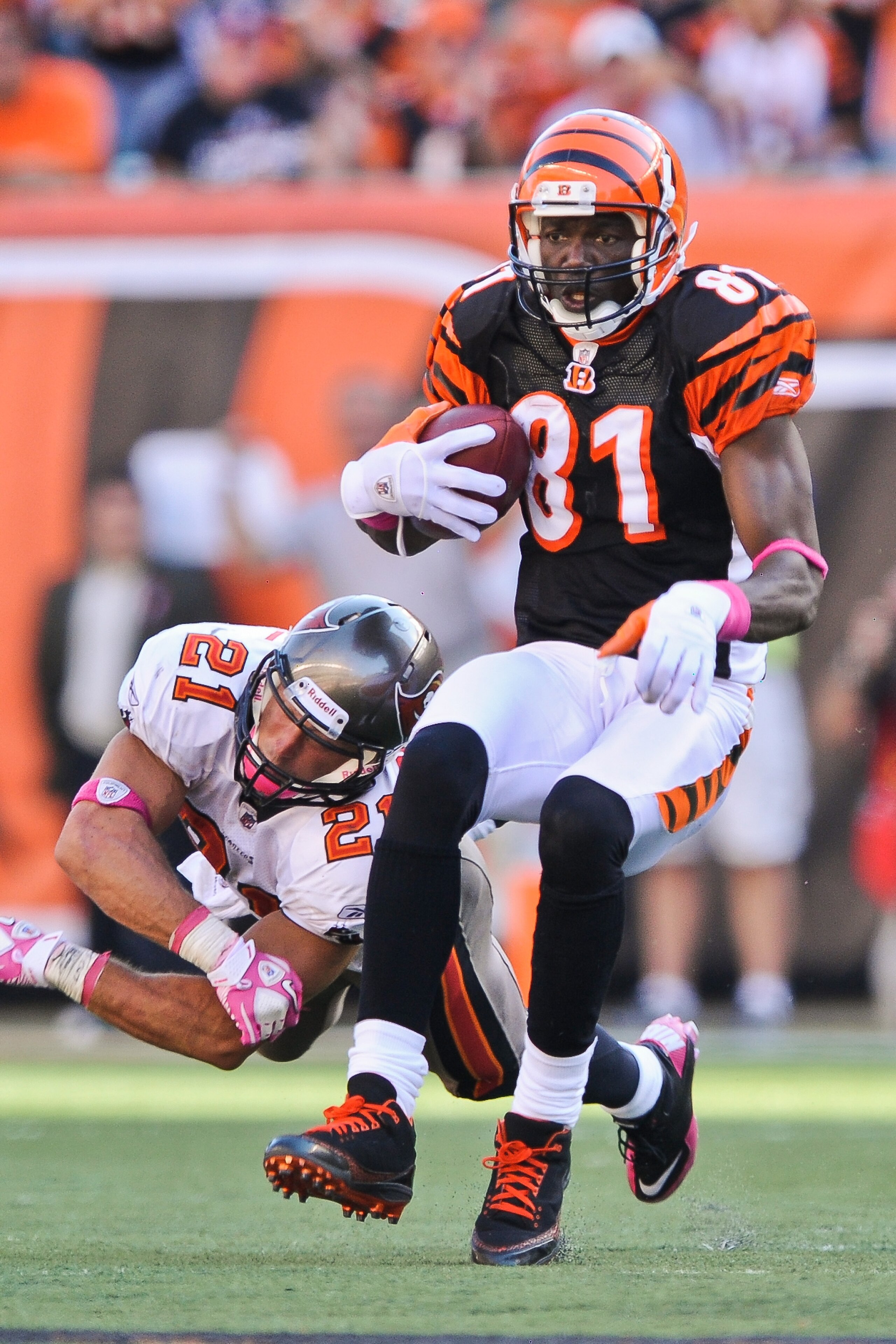 CINCINNATI, OH - OCTOBER 10: Terrell Owens #81 of the Cincinnati Bengals runs with the ball against the Tampa Bay Buccaneers at Paul Brown Stadium on October 10, 2010 in Cincinnati, Ohio. (Photo by Jamie Sabau/Getty Images)