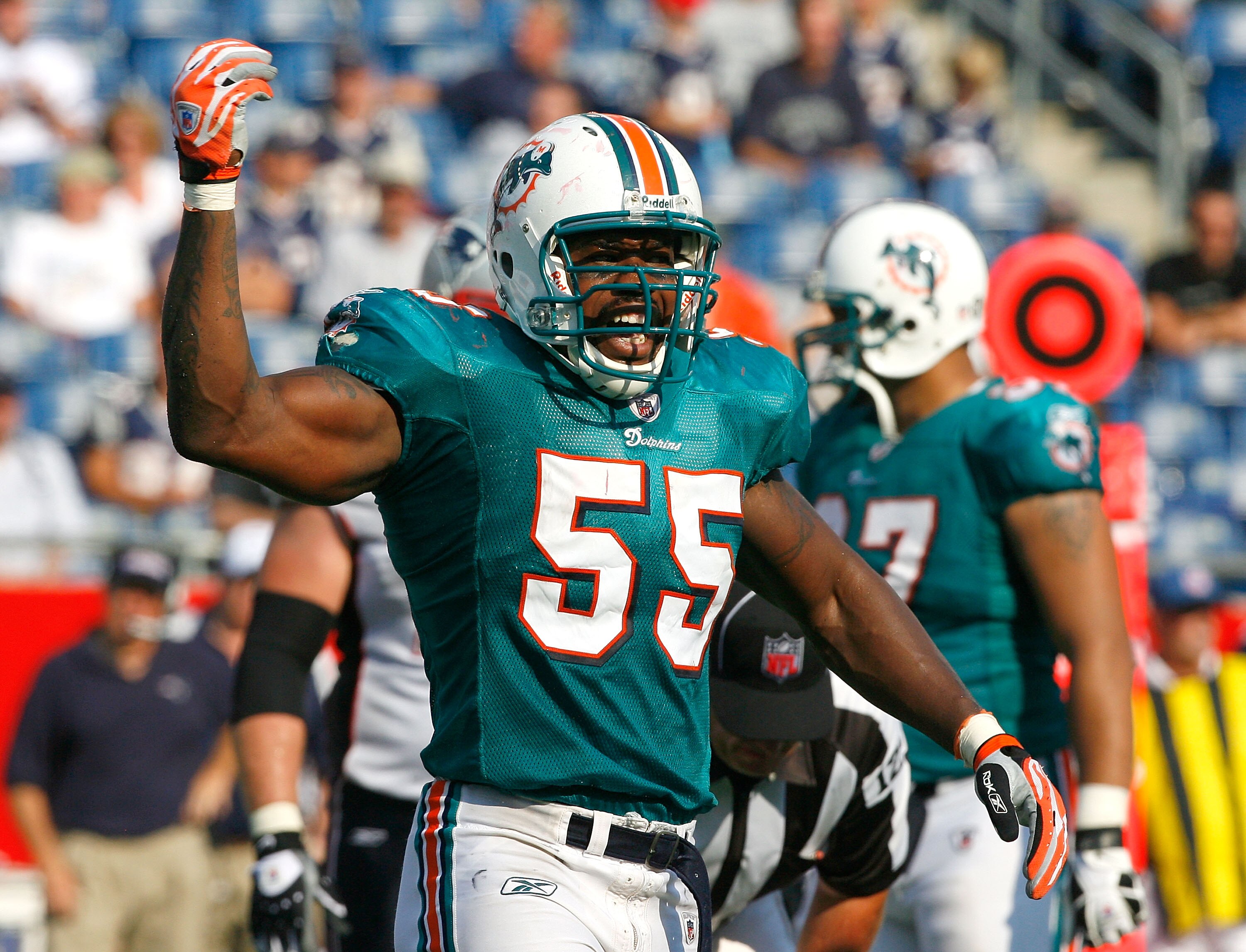 FOXBORO, MA - SEPTEMBER 21: Joey Porter #55 of the Miami Dolphins reacts after a sack against the New England Patriots at Gillette Stadium on September 21, 2008 in Foxboro, Massachusetts. (Photo by Jim Rogash/Getty Images)
