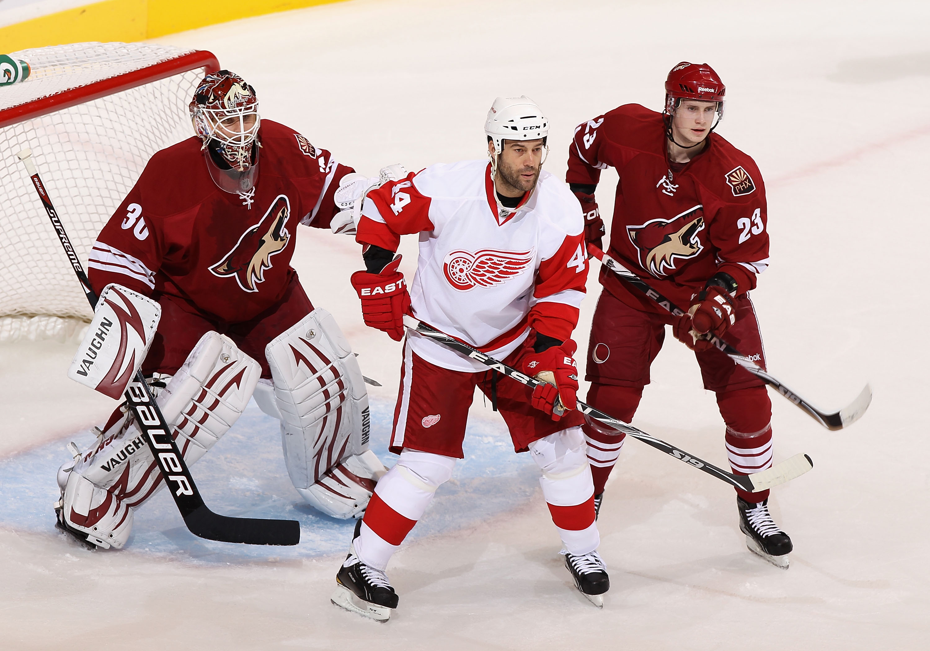 GLENDALE, AZ - OCTOBER 16: Todd Bertuzzi #44 of the Detroit Red Wings attempts to screen goaltender Ilya Bryzgalov #30 of the Phoenix Coyotes during the NHL game at Jobing.com Arena on October16, 2010 in Glendale, Arizona. The Red Wings defeated the Coy GLENDALE, AZ - OCTOBER 16: Todd Bertuzzi #44 of the Detroit Red Wings attempts to screen goaltender Ilya Bryzgalov #30 of the Phoenix Coyotes during the NHL game at Jobing.com Arena on October16, 2010 in Glendale, Arizona. The Red Wings defeated the Coy