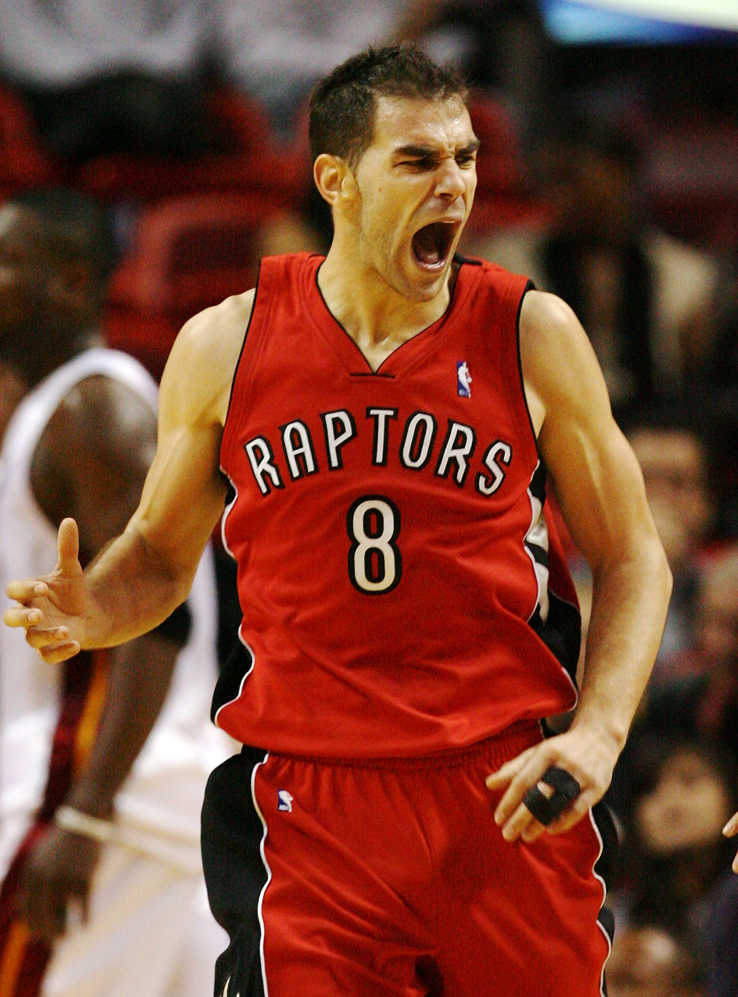 MIAMI - NOVEMBER 19:  Jose Calderon #8 of the Toronto Raptors celebrates after making a basket against the Miami Heat at American Airlines Arena on November 19, 2008 in Miami, Florida. The Raptors defeated the Heat 101-95. NOTE TO USER: User expressly ack