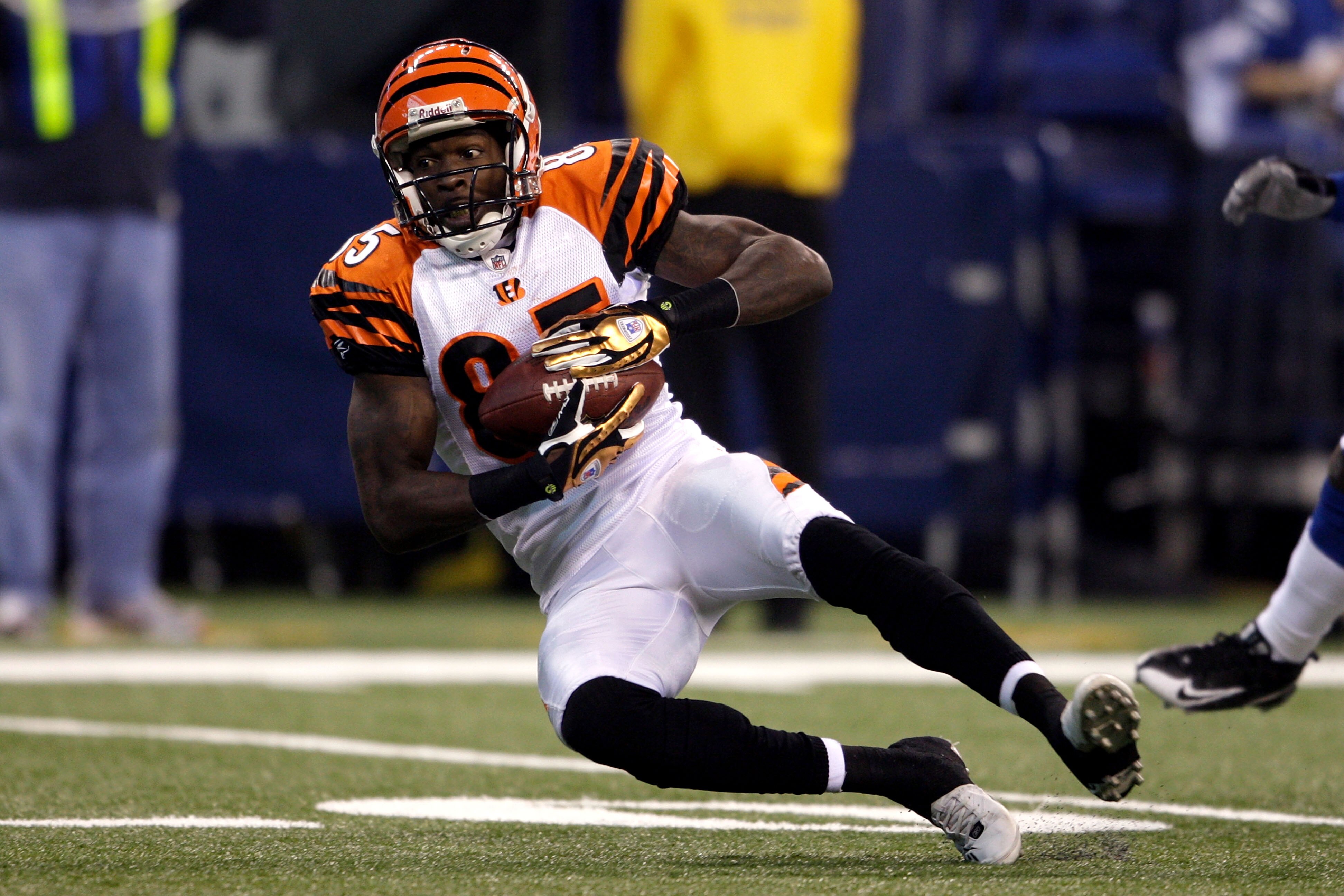 INDIANAPOLIS - DECEMBER 07:  Chad Johnson #85 of the Cincinnati Bengals makes a catch against the Indianapolis Colts at Lucas Oil Stadium on December 7, 2008 in Indianapolis, Indiana.  (Photo by Andy Lyons/Getty Images)