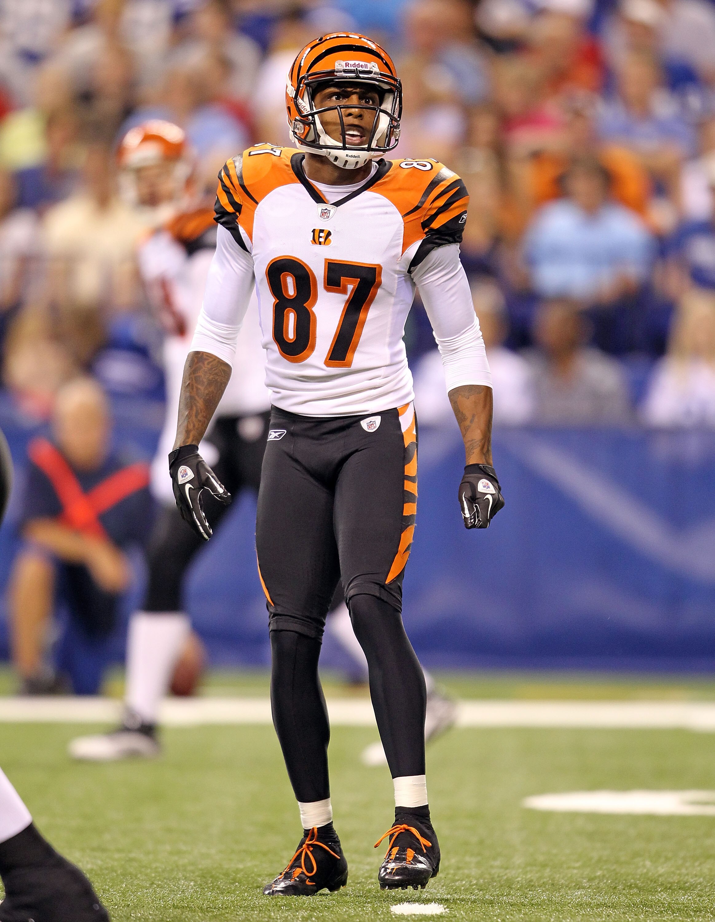 INDIANAPOLIS - SEPTEMBER 02:  Andre Caldwell #87 of the Cincinnati Bengals is pictured during the NFL game against the Indianapolis Colts at Lucas Oil Stadium on September 2, 2010 in Indianapolis, Indiana.  (Photo by Andy Lyons/Getty Images)