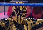 The Bizarre One, Goldust. Courtesy of WWE.com