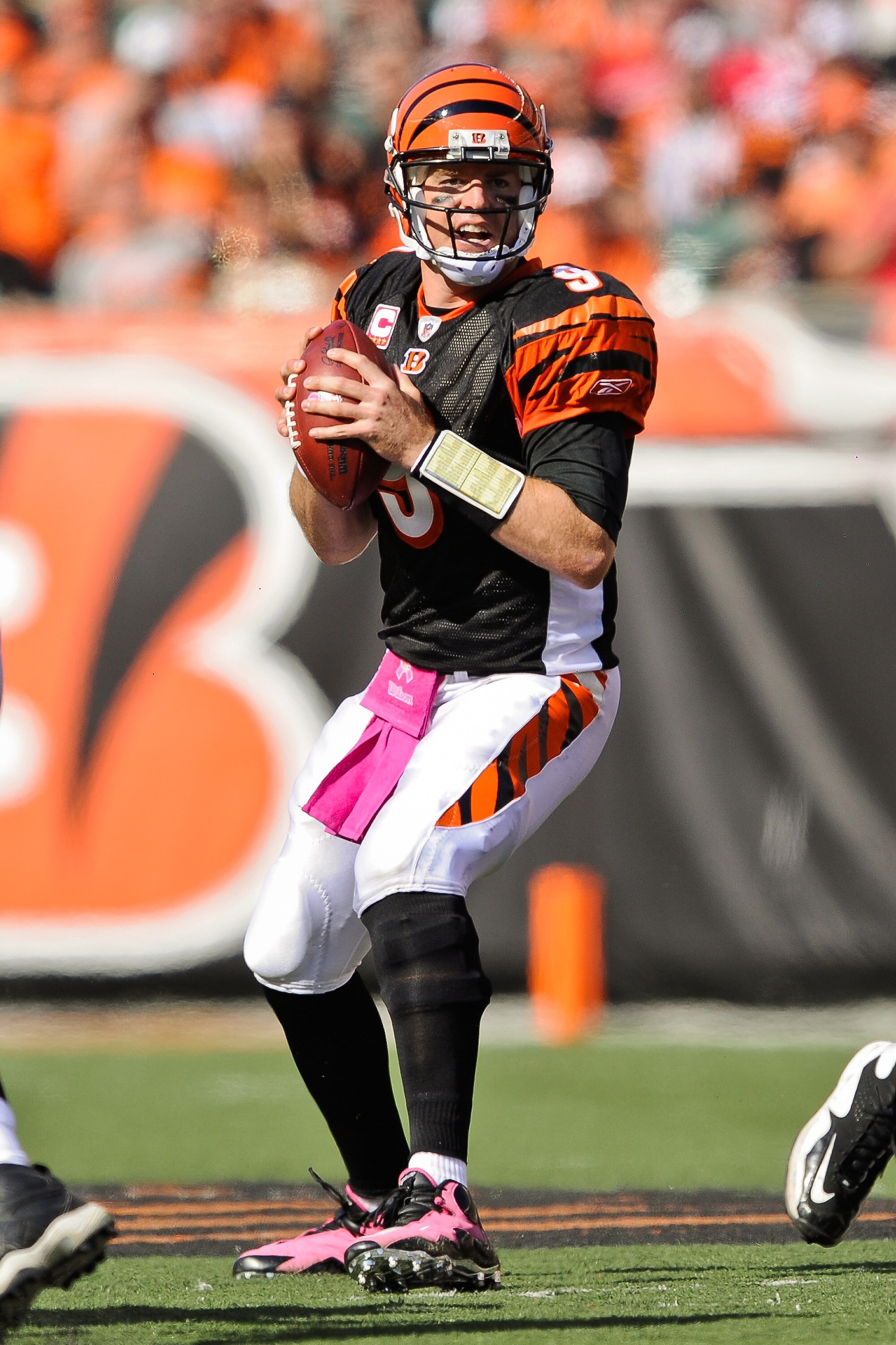 CINCINNATI, OH - OCTOBER 10: Quarterback Carson Palmer #9 of the Cincinnati Bengals sets up to throw against the Tampa Bay Buccaneers at Paul Brown Stadium on October 10, 2010 in Cincinnati, Ohio. (Photo by Jamie Sabau/Getty Images)
