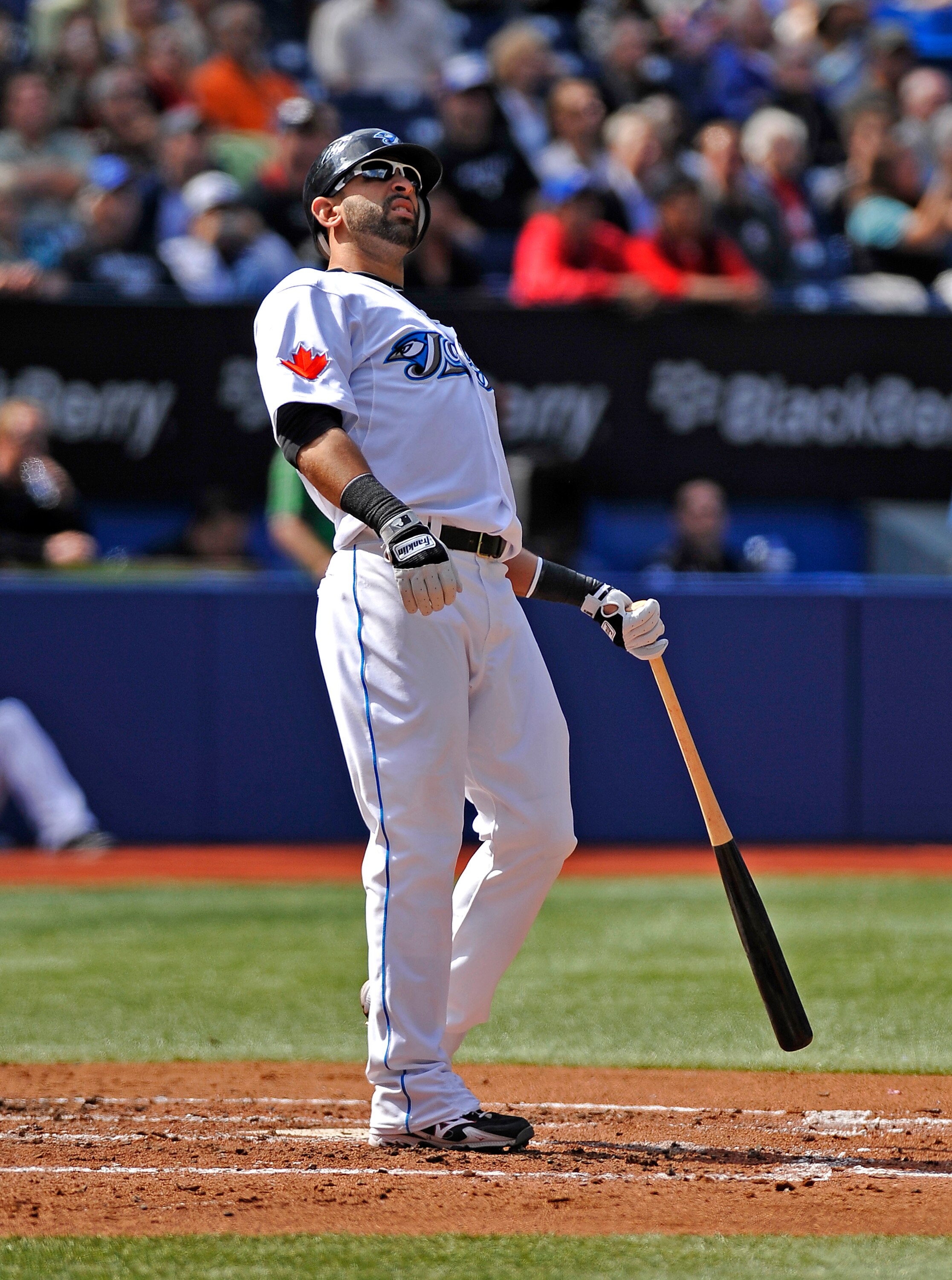 TORONTO - SEPTEMBER 23:   Jose Bautista #19 of the Toronto Blue Jays watches his foul ball during the game against the Seattle Mariners on September 23, 2010 at Rogers Centre in Toronto, Ontario, Canada. The Blue Jays defeated the Mariners 1-0. (Photo by