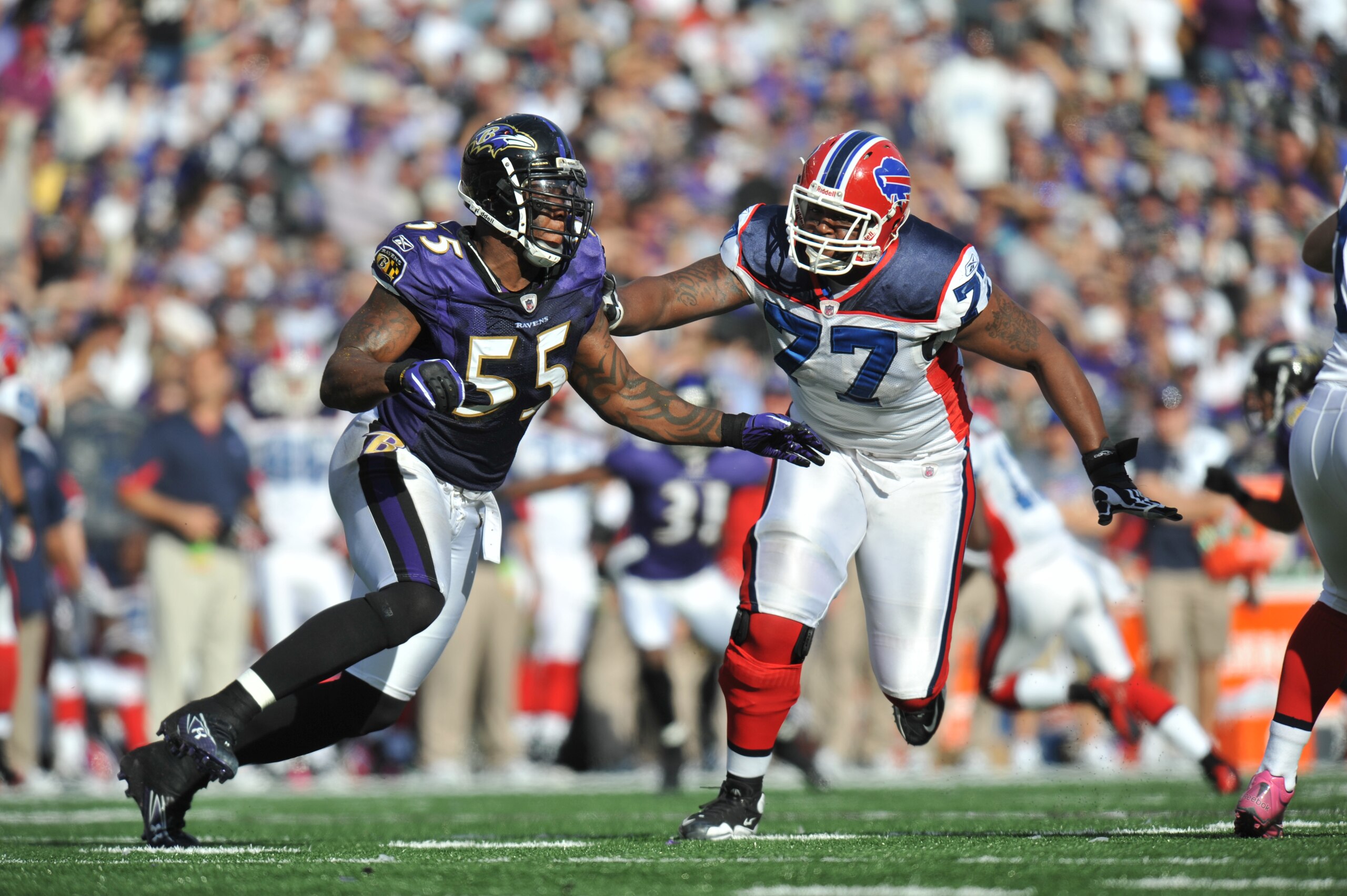 BALTIMORE, MD - OCTOBER 24:  Terrell Suggs #55 of the Baltimore Ravens defends against Demetrius Bell #77 of the Buffalo Bills at M&T Bank Stadium on October 24, 2010 in Baltimore, Maryland. The Ravens defeated the Bills 37-34. (Photo by Larry French/Gett