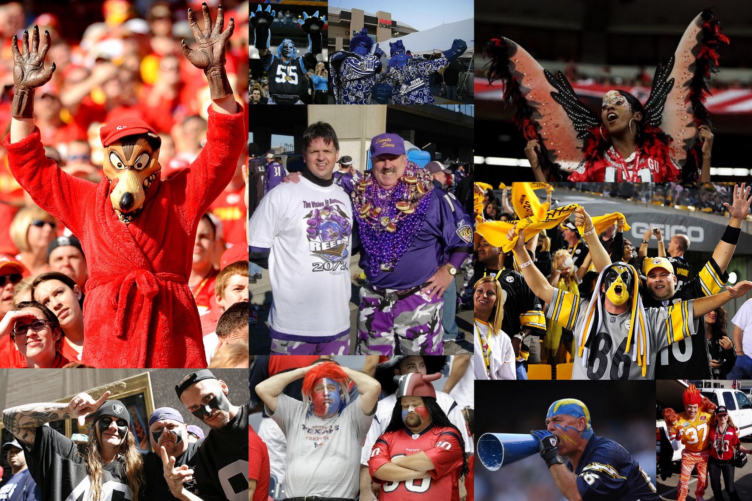 Fan Fanatics