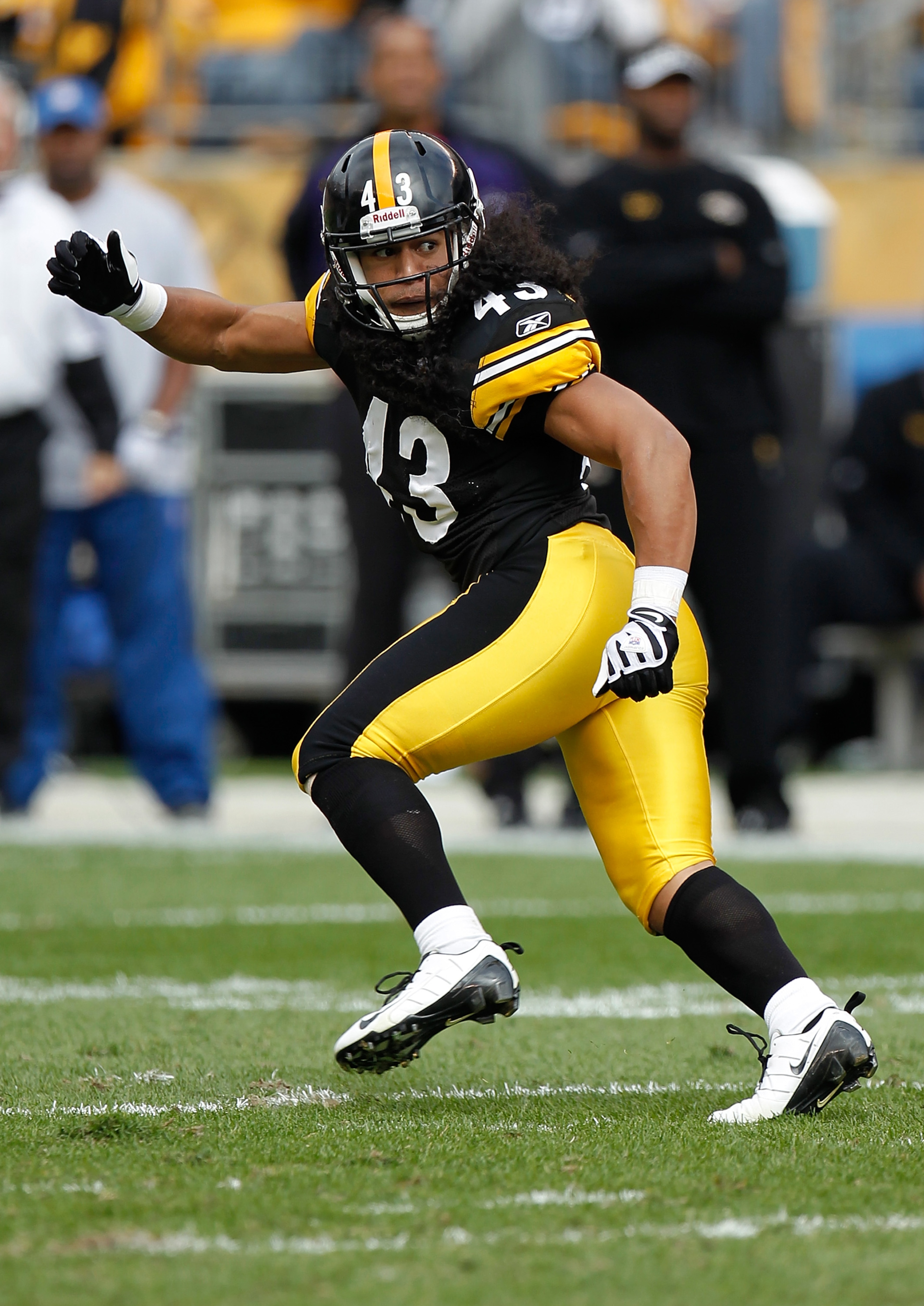 PITTSBURGH - OCTOBER 03: Troy Polamalu #43 of the Pittsburgh Steelers follows the play during the game against the Baltimore Ravens on October 3, 2010 at Heinz Field in Pittsburgh, Pennsylvania. (Photo by Gregory Shamus/Getty Images)