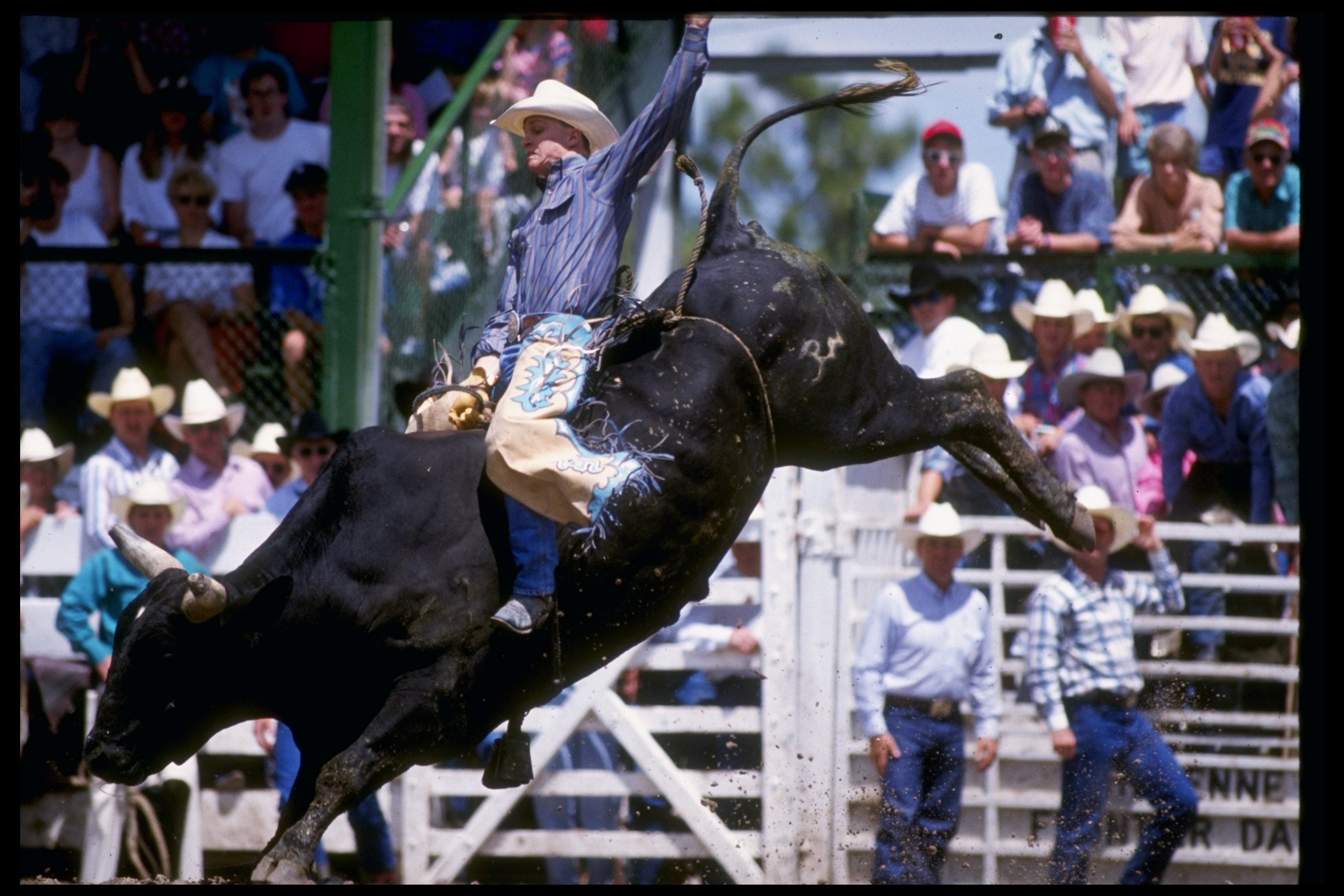 30 Jul 1991:  Ty Murray rides a bull during the Cheyenne Frontier Day Rodeo in Cheyenne, Wyoming. Mandatory Credit: Ken Levine  /Allsport