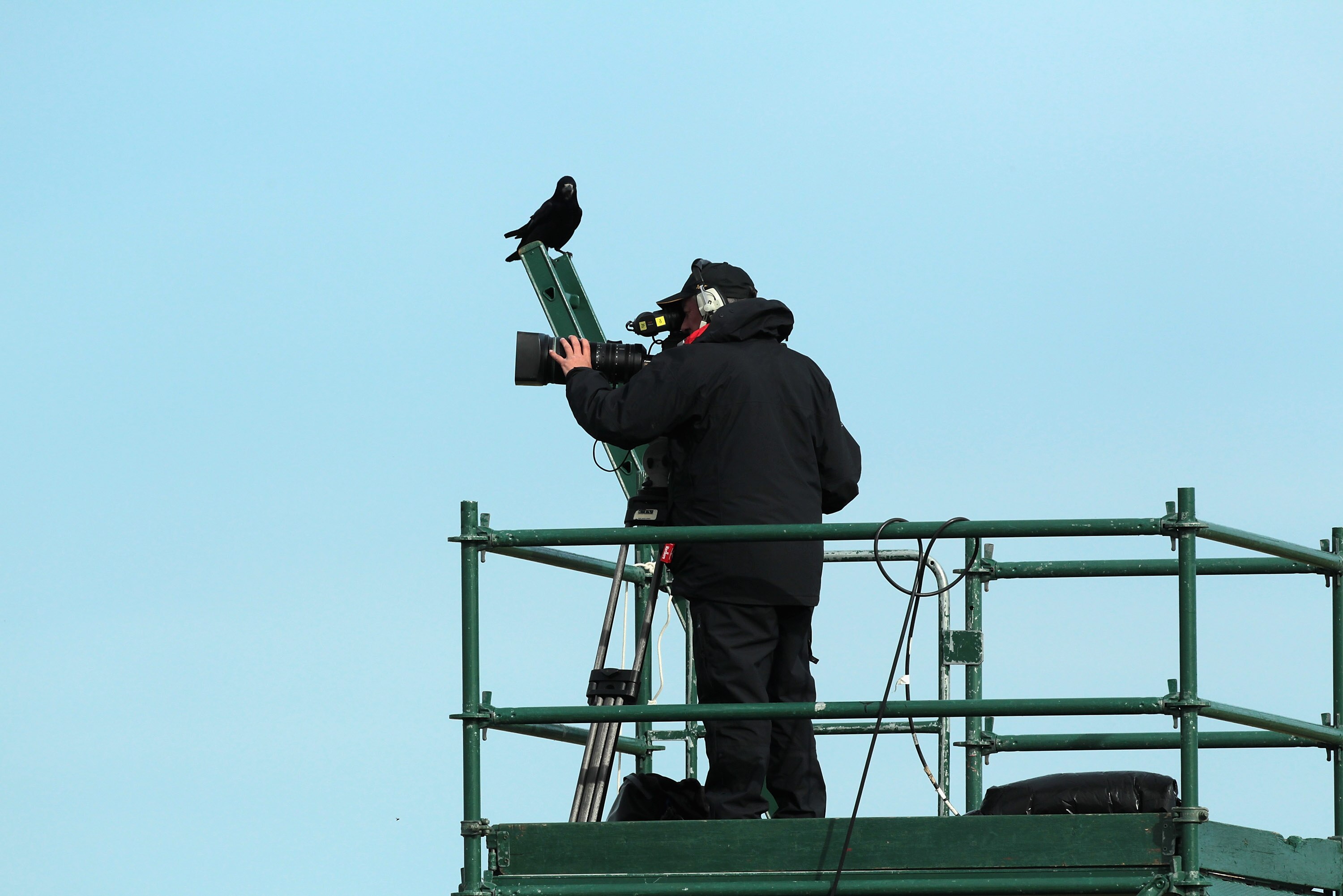 ST ANDREWS, SCOTLAND - OCTOBER 07: A lone crow lands on a ladder and watches a Sky Television cameraman at work during the first round of The Alfred Dunhill Links Championship at The Old Course on October 7, 2010 in St Andrews, Scotland.  (Photo by David 