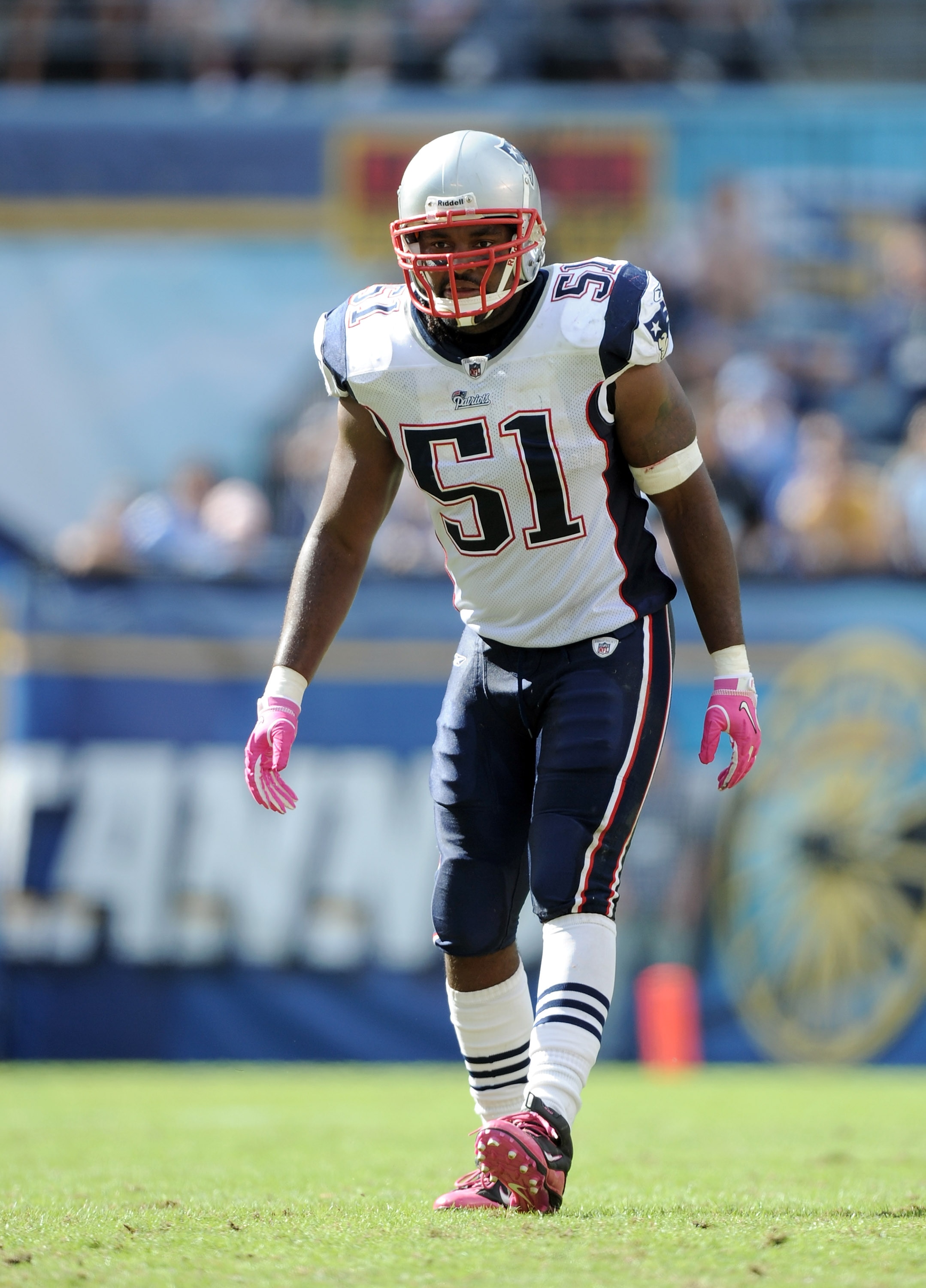 SAN DIEGO - OCTOBER 24:  Jerod Mayo #51 of the New England Patriots on defense against the San Diego Chargers at Qualcomm Stadium on October 24, 2010 in San Diego, California.  (Photo by Harry How/Getty Images)