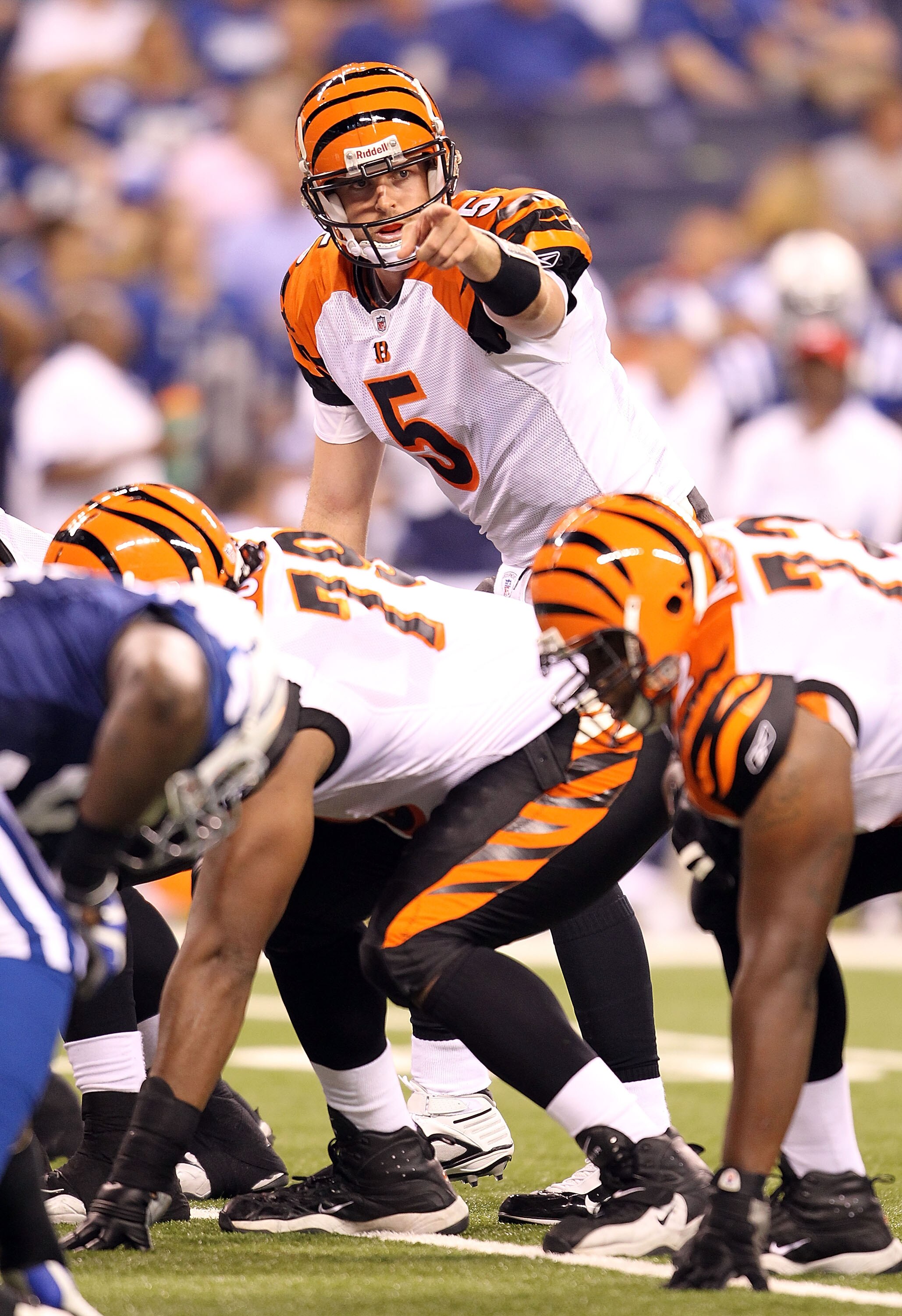 INDIANAPOLIS - SEPTEMBER 02:  Jordan Palmer #5  of the Cincinnati Bengals gives instructions to his team during the NFL preseason game against the Indianapolis Colts at Lucas Oil Stadium on September 2, 2010 in Indianapolis, Indiana.  (Photo by Andy Lyons