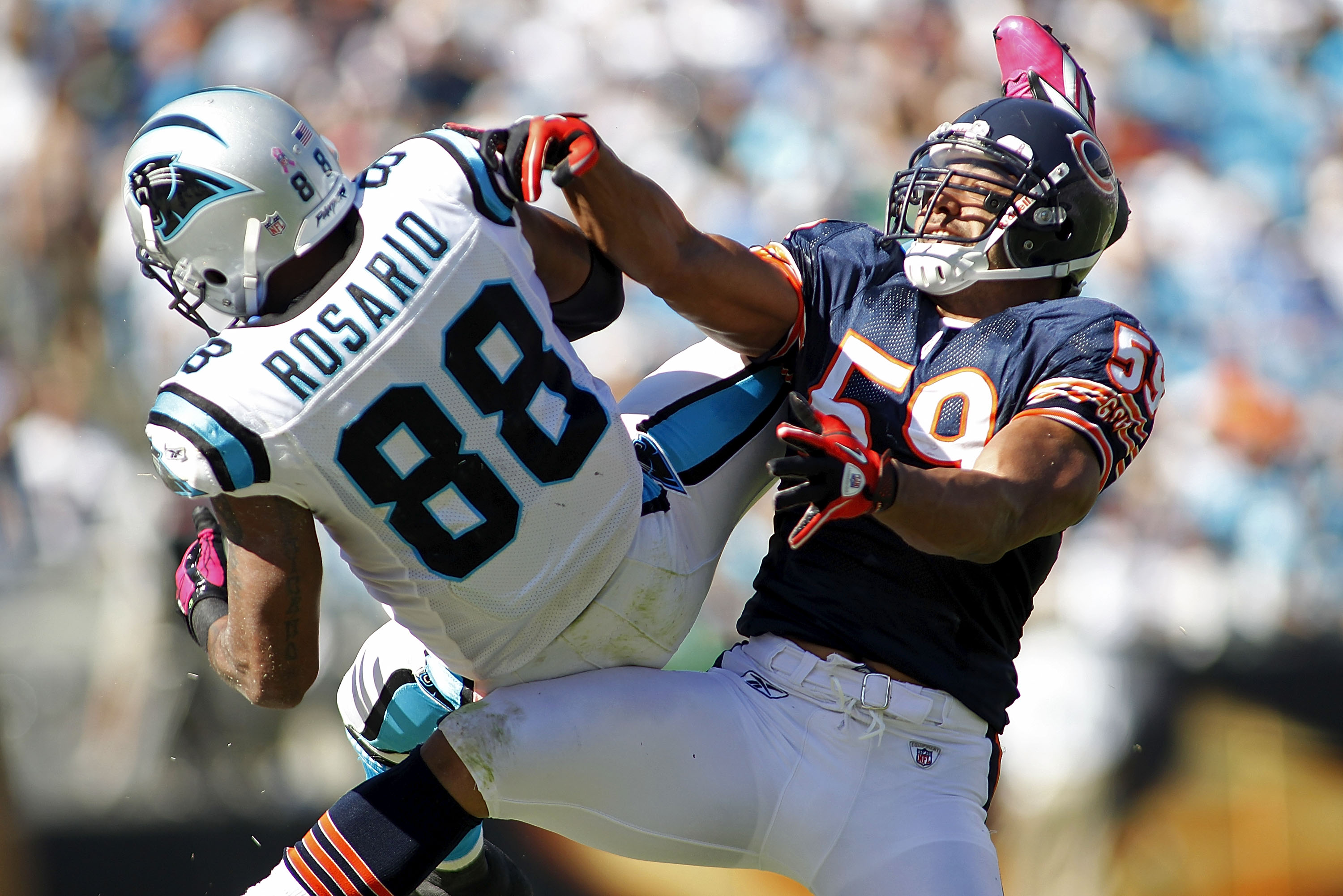 CHARLOTTE, NC - OCTOBER 10: Tight end Dante Rosario #88 of the Carolina Panthers and linebacker Pisa Tinoisamoa #59 of the Chicago Bears leap for the ball at Bank of America Stadium on October 10, 2010 in Charlotte, North Carolina.  (Photo by Geoff Burke/