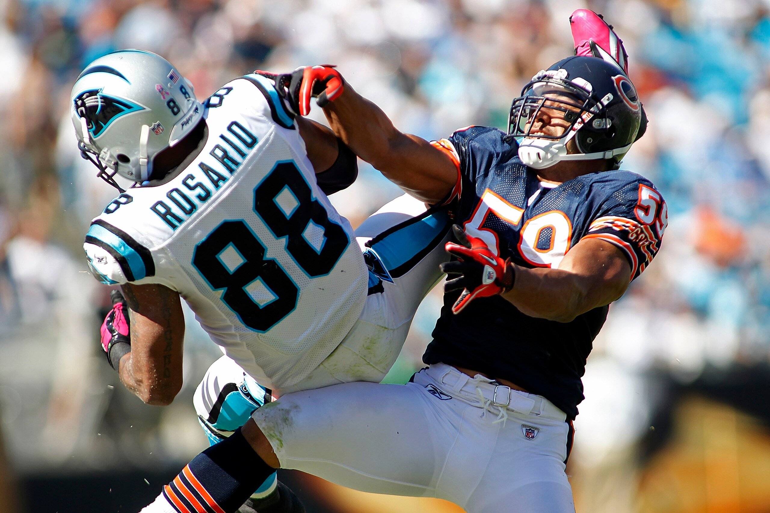 CHARLOTTE, NC - OCTOBER 10: Tight end Dante Rosario #88 of the Carolina Panthers and linebacker Pisa Tinoisamoa #59 of the Chicago Bears leap for the ball at Bank of America Stadium on October 10, 2010 in Charlotte, North Carolina.  (Photo by Geoff Burke/
