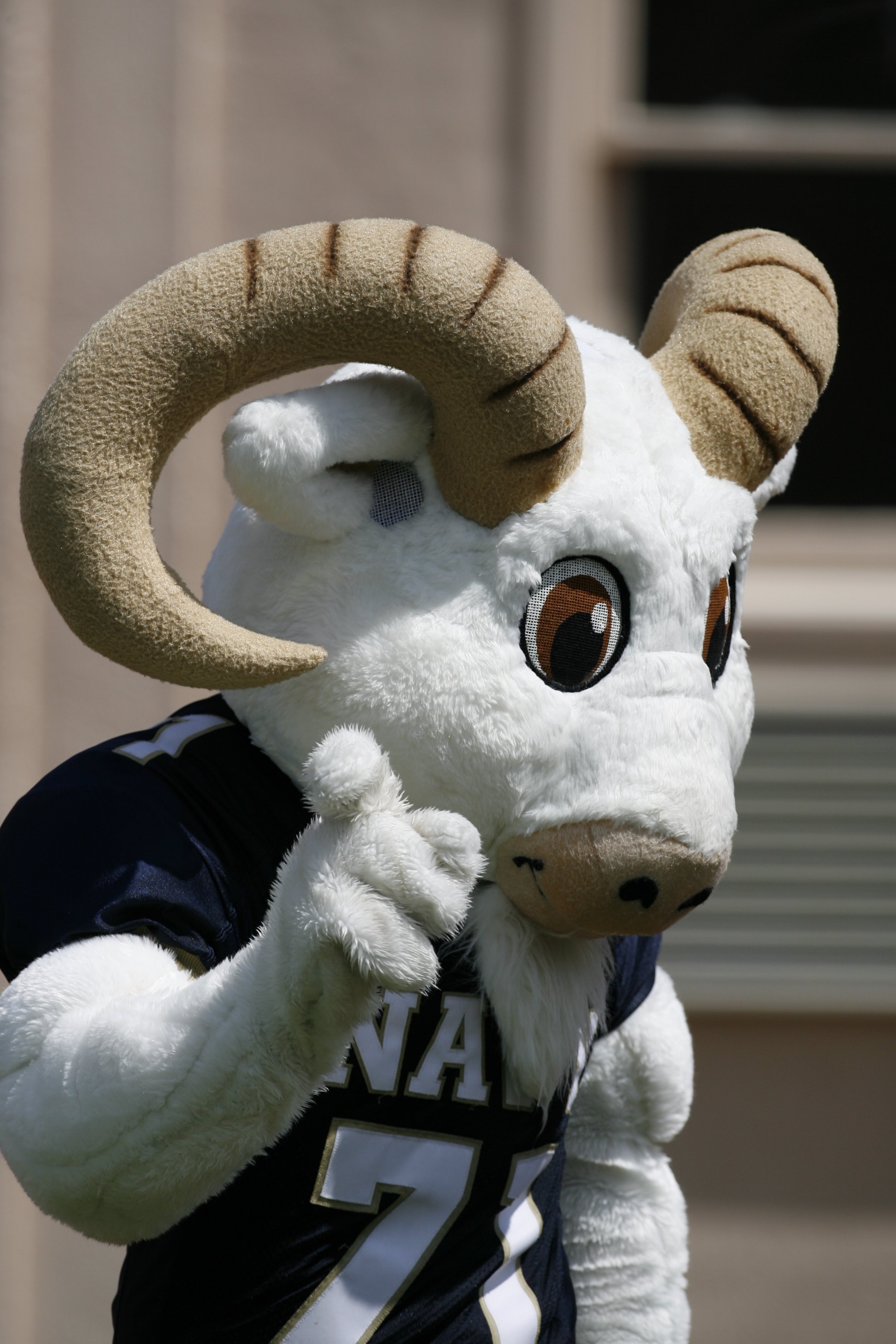 DURHAM, NC - SEPTEMBER 13:  The Navy Midshipmen mascot looks on during the game against the Duke Blue Devils at Wallace Wade Stadium on September 13, 2008 in Durham, North Carolina.  (Photo by Kevin C. Cox/Getty Images)