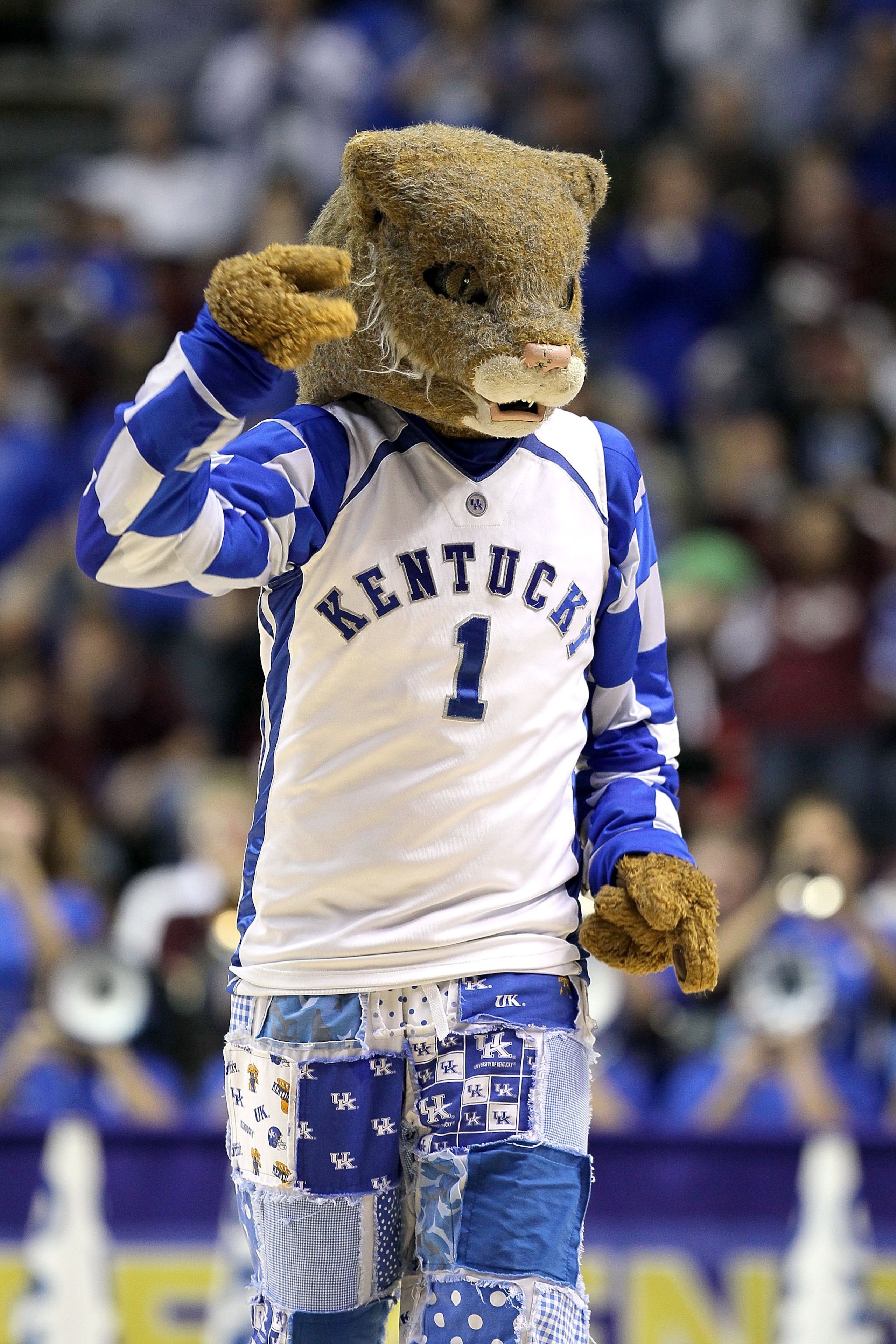 NASHVILLE, TN - MARCH 14:  The Wildcat, mascot for the Kentucky Wildcats performs against the Mississippi State Bulldogs during the final of the SEC Men's Basketball Tournament at the Bridgestone Arena on March 14, 2010 in Nashville, Tennessee.  (Photo by